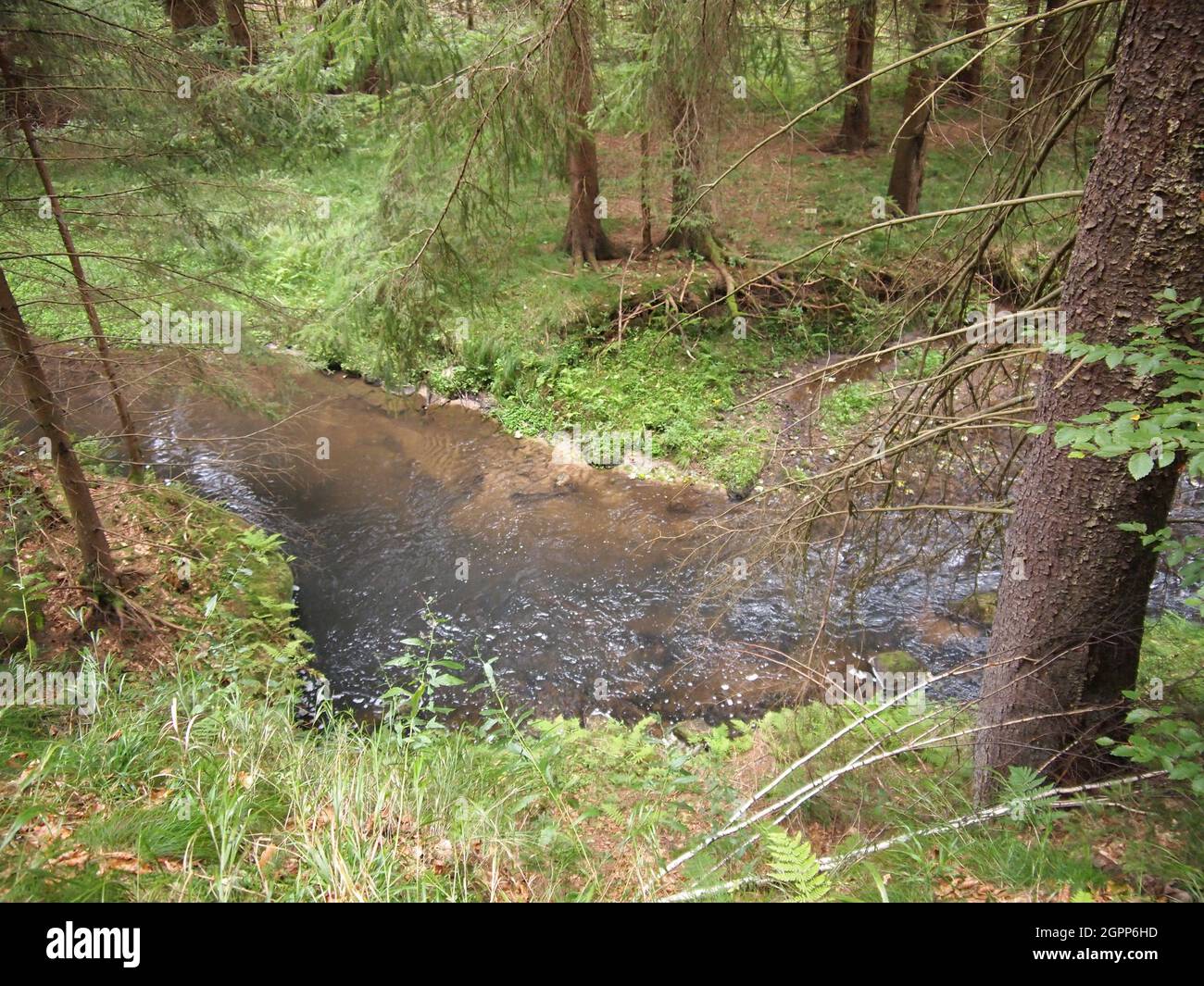 Kirnitzsch - Křinice (Nationalpark Böhmische Schweiz, Nationalpark Sächsische Schweiz, Deutschland) Stockfoto