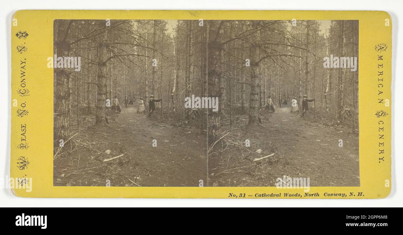 Cathedral Woods, North Conway, N.H., Mitte des 19. Jahrhunderts. [Menschen, die im Wald spazieren, New Hampshire, USA]. Albumen-Druck, Stereokard. Stockfoto