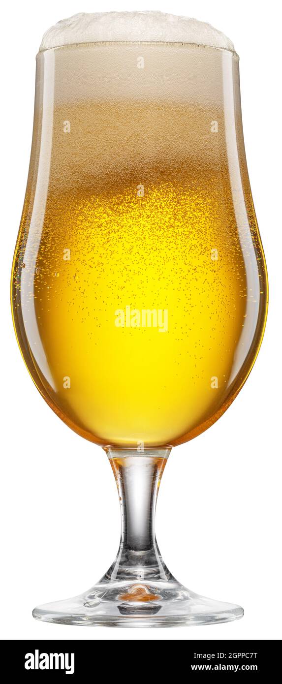 Tulpenglas kaltes Bier mit weißem Schaum und Gasblasen im Inneren. Datei enthält Beschneidungspfad Stockfotografie