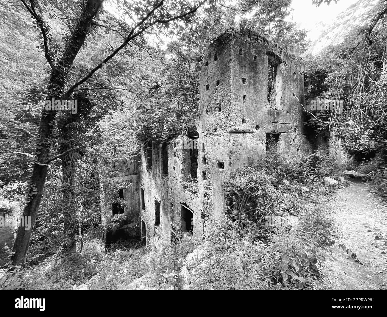 Graustufenaufnahme eines alten verlassenen Schlosses Stockfoto