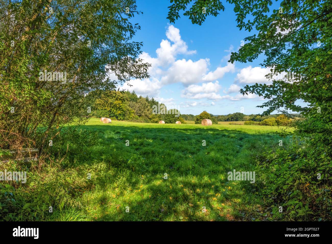 September tauchte von seiner schönsten Seite auf. Die ländliche Szene wurde in der Holsteinischen Schweiz, Deutschland, fotografiert. Stockfoto