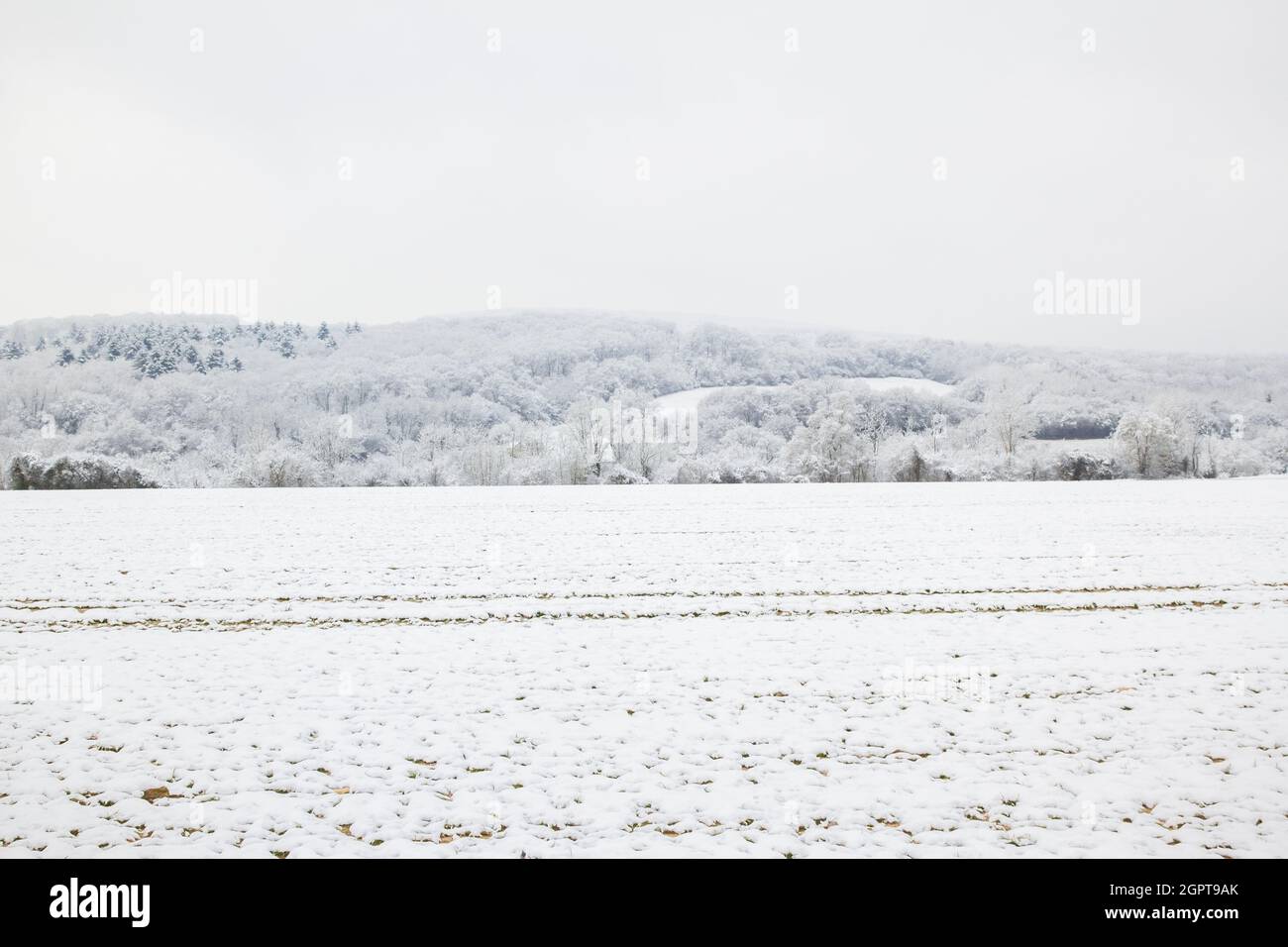 Landschaft der Landschaft im Winter. Feld und Wald mit Schnee. Cher(18), Berry, Frankreich // Paysage de campagne en hiver. CHAMP et forêt avec neige Stockfoto