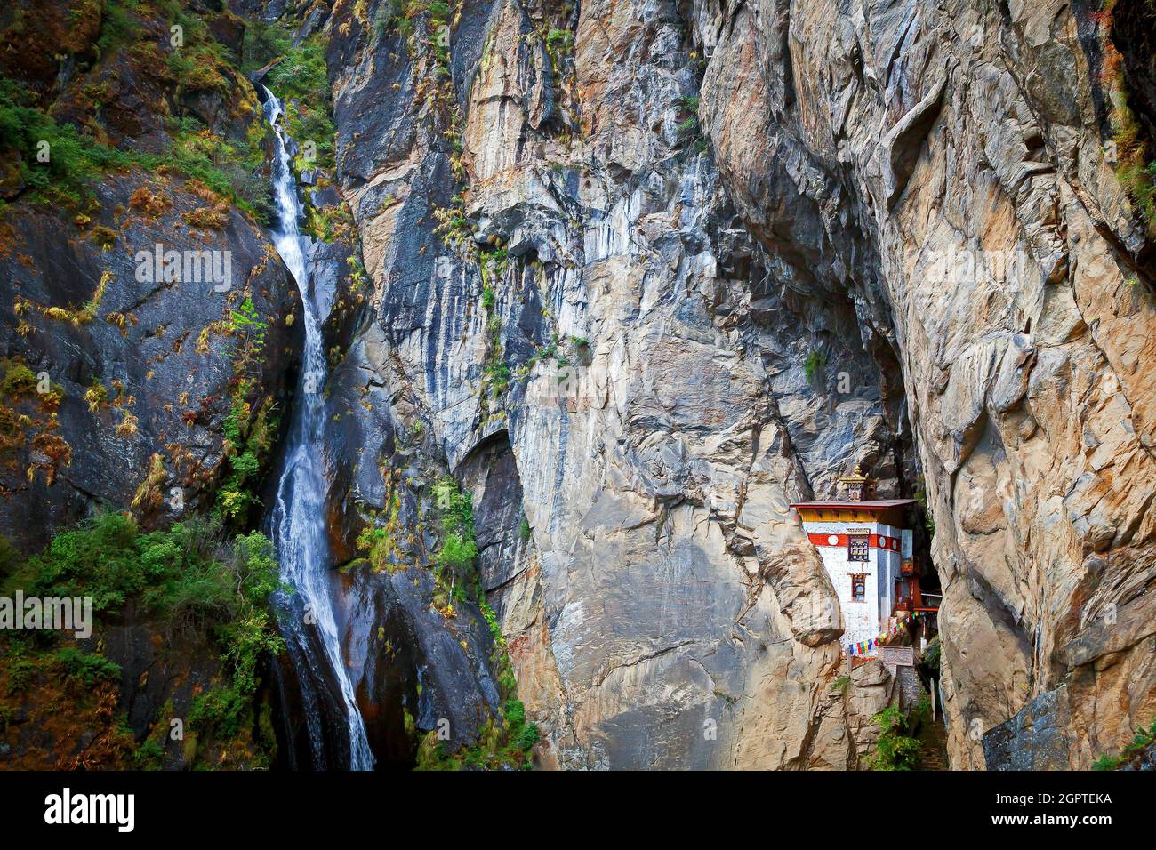 Paro Taktsang, auch als das Tiger's Nest bekannt, ist eine heilige Vajrayana Himalaya-buddhistische Stätte, die sich an der Klippe des Paro-Tals in Bhutan befindet. Stockfoto