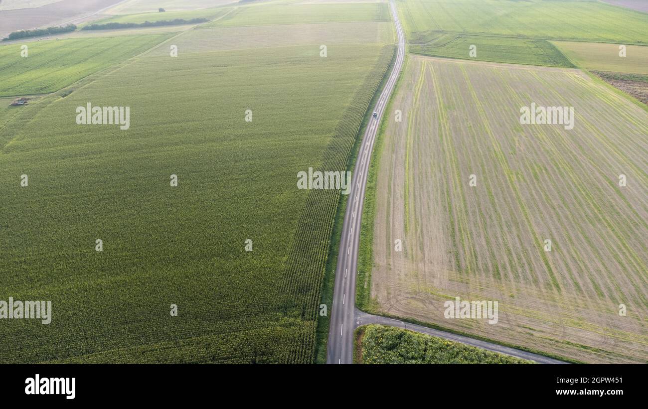 Luftaufnahme von Kornfeldern, Bäumen unter blauem Himmel Stockfoto