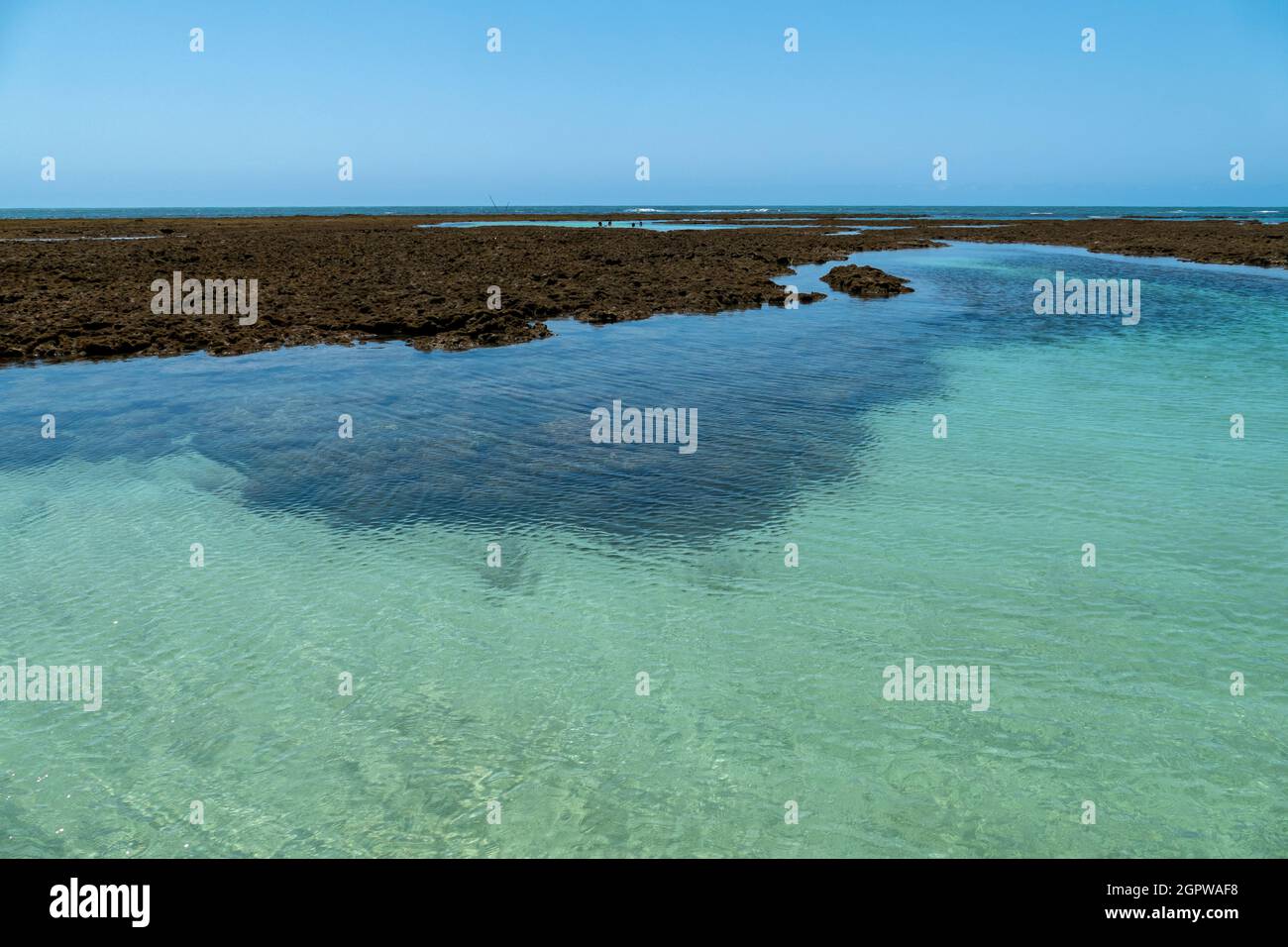 Idyllischer Strand mit kristallklarem Wasser auf der Insel Boipeba, Bundesstaat Bahia, Brasilien Stockfoto