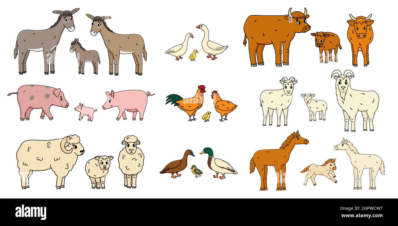 Niedliche Nutztiere Familien isoliert auf weißem Hintergrund. Vektor-Cartoon skizzieren Doodle Tiere Sammlung: Esel Gans Kuh Ochse Schwein Huhn Huhn Roo Stock Vektor