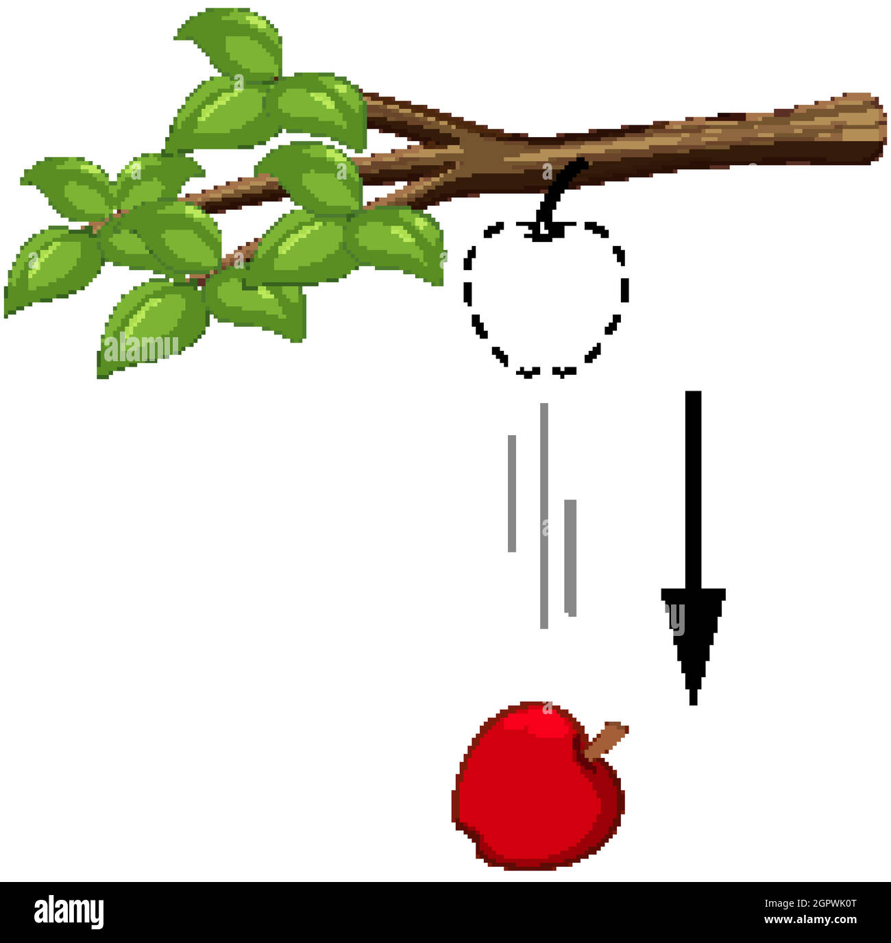 Fallender Apfel für Gravitationsexperiment Stock Vektor