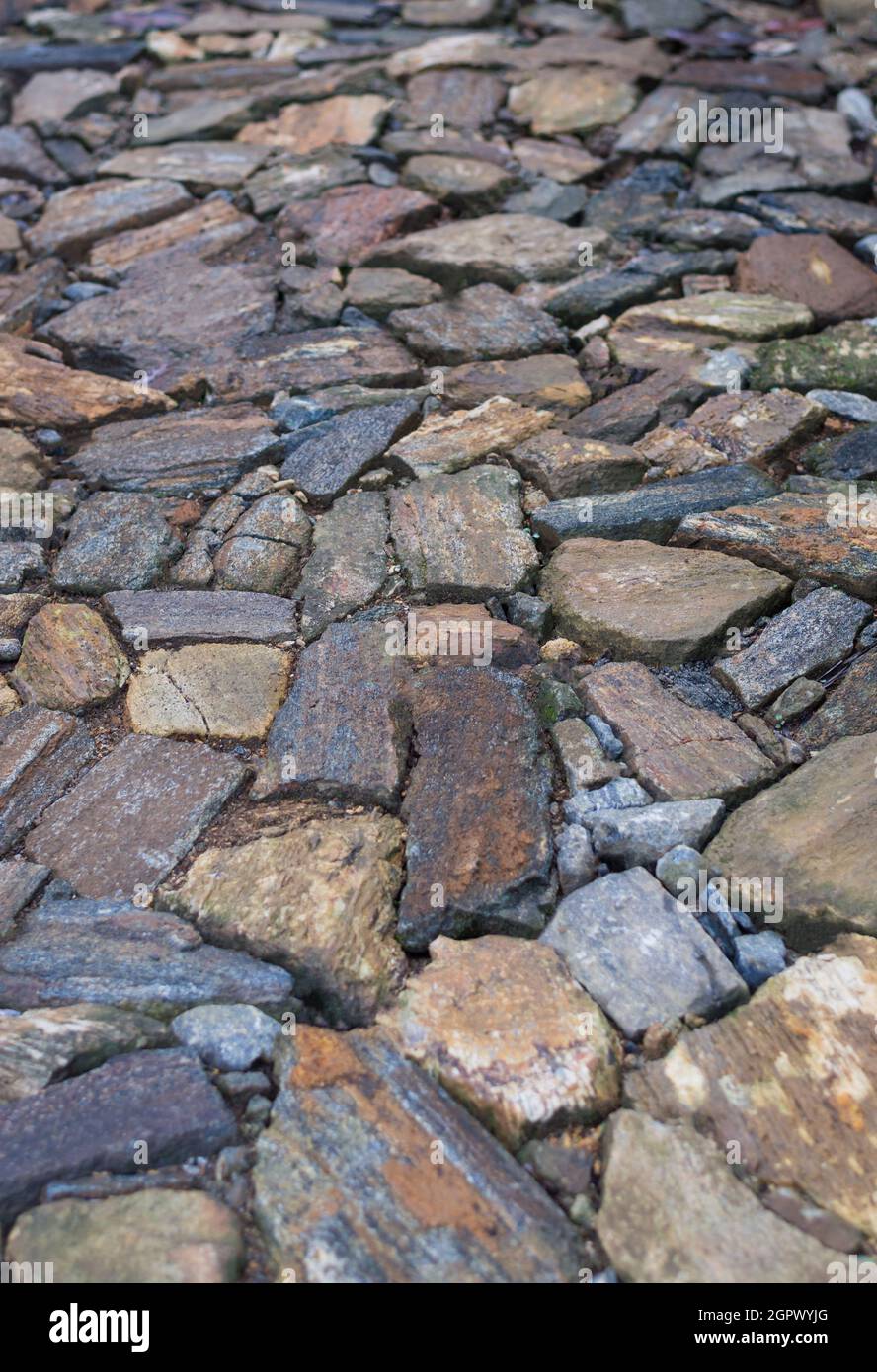 Steinpfad oder Steinweg, Abschnitt von Trittsteinen des Gartenweges, in geringer Schärfentiefe geschossen, Texturhintergrund Stockfoto