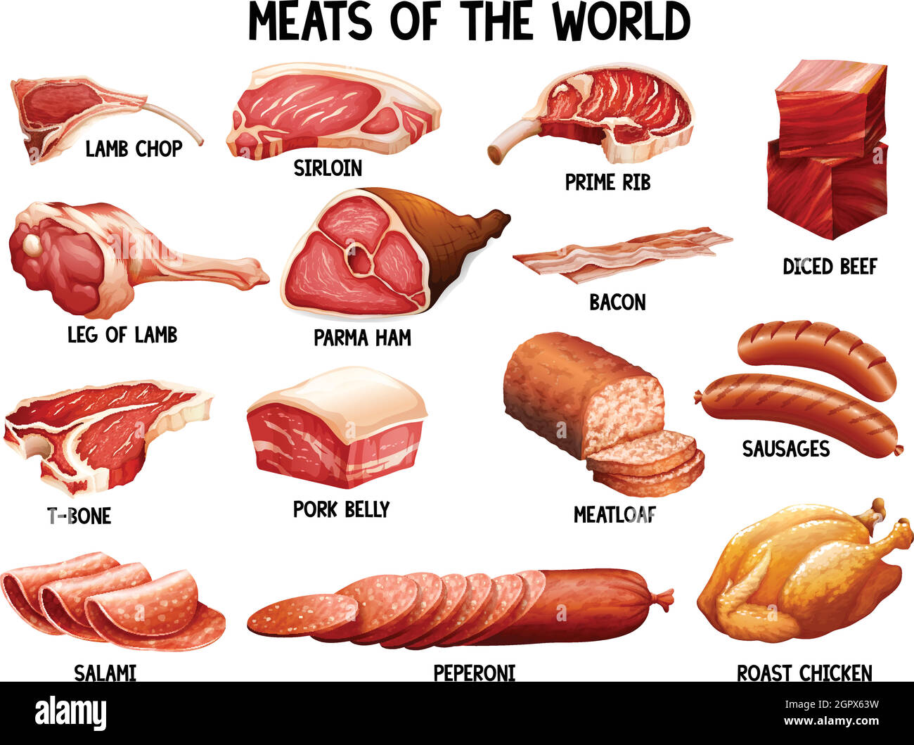 Fleisch der Welt Stock Vektor