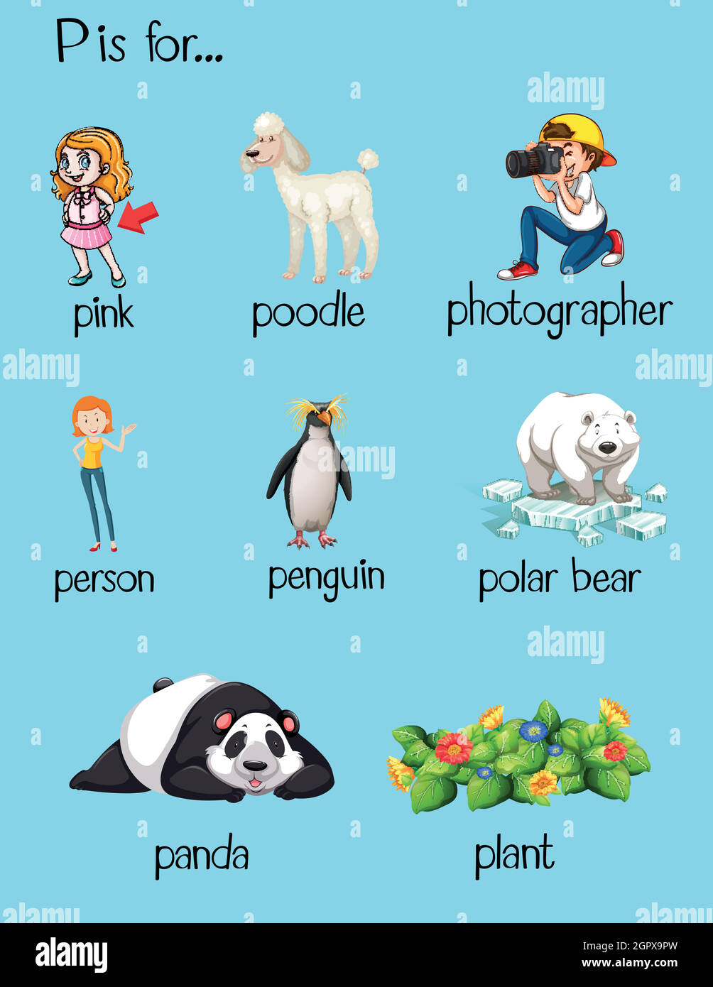 Viele Wörter beginnen mit dem Buchstaben P Stock Vektor