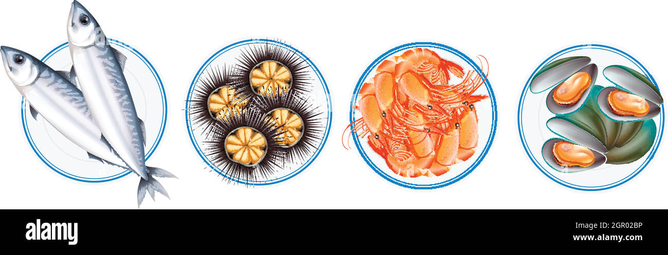 Verschiedene Arten von Meeresfrüchten Stock Vektor