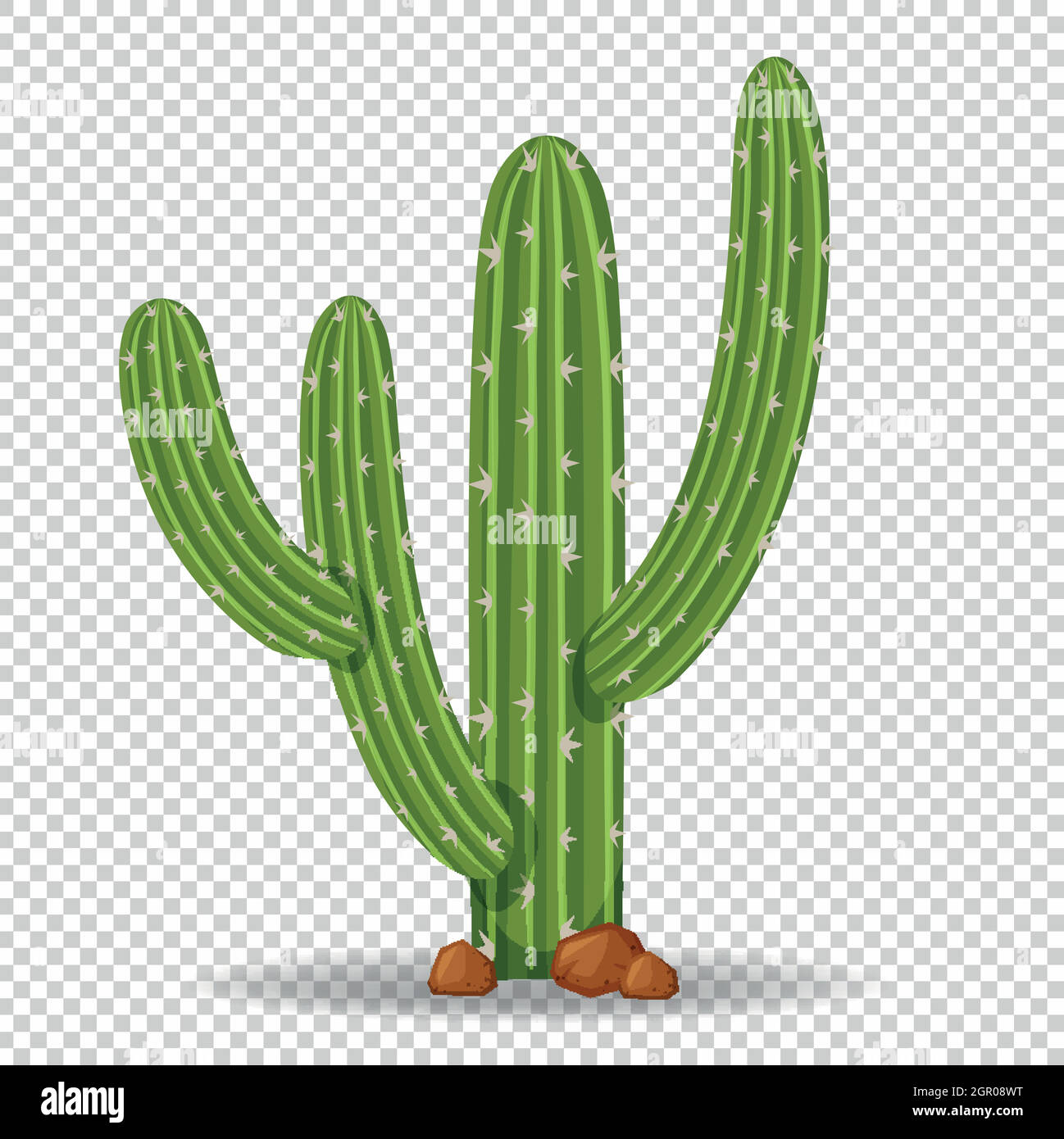 Kaktusbaum auf transparentem Hintergrund Stock Vektor