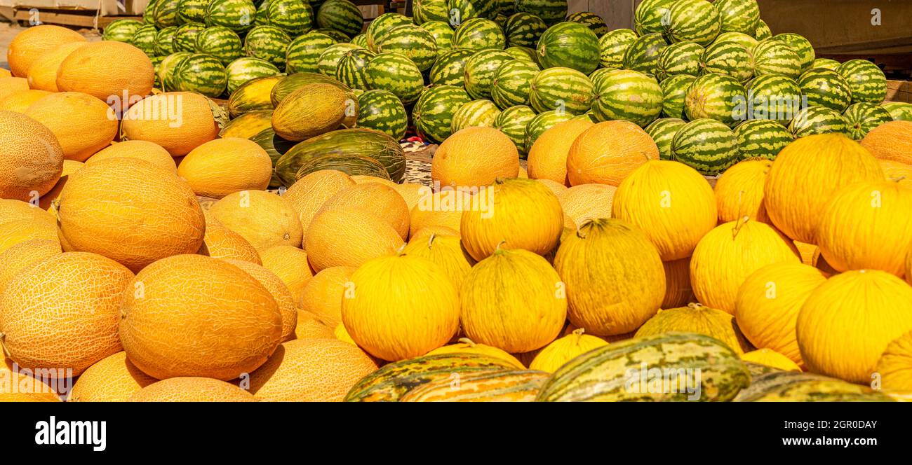 Melonen, Wassermelonen, die am Boden verkauft werden, werden auf dem saisonalen Outdoor-Markt in Kyzyl-Orda, Kasachstan, Zentral- und Asien ausgestellt Stockfoto