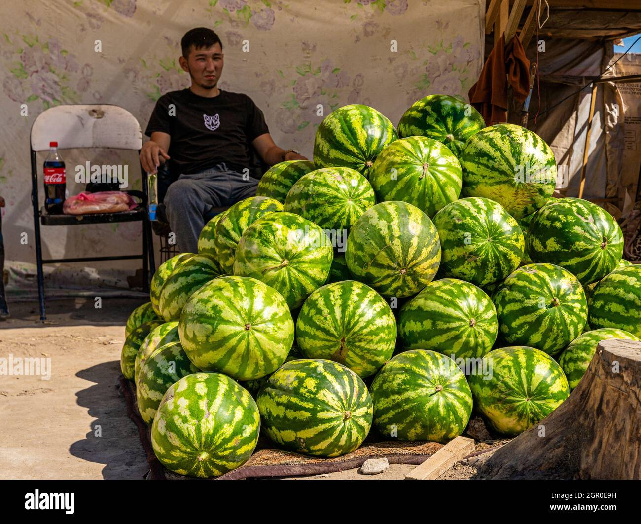 Kasachischer Mann, der Wassermelonen am Boden auf dem saisonalen Outdoor-Markt in Kyzyl-Orda, Kasachstan, Zentral- und Asien verkauft Stockfoto