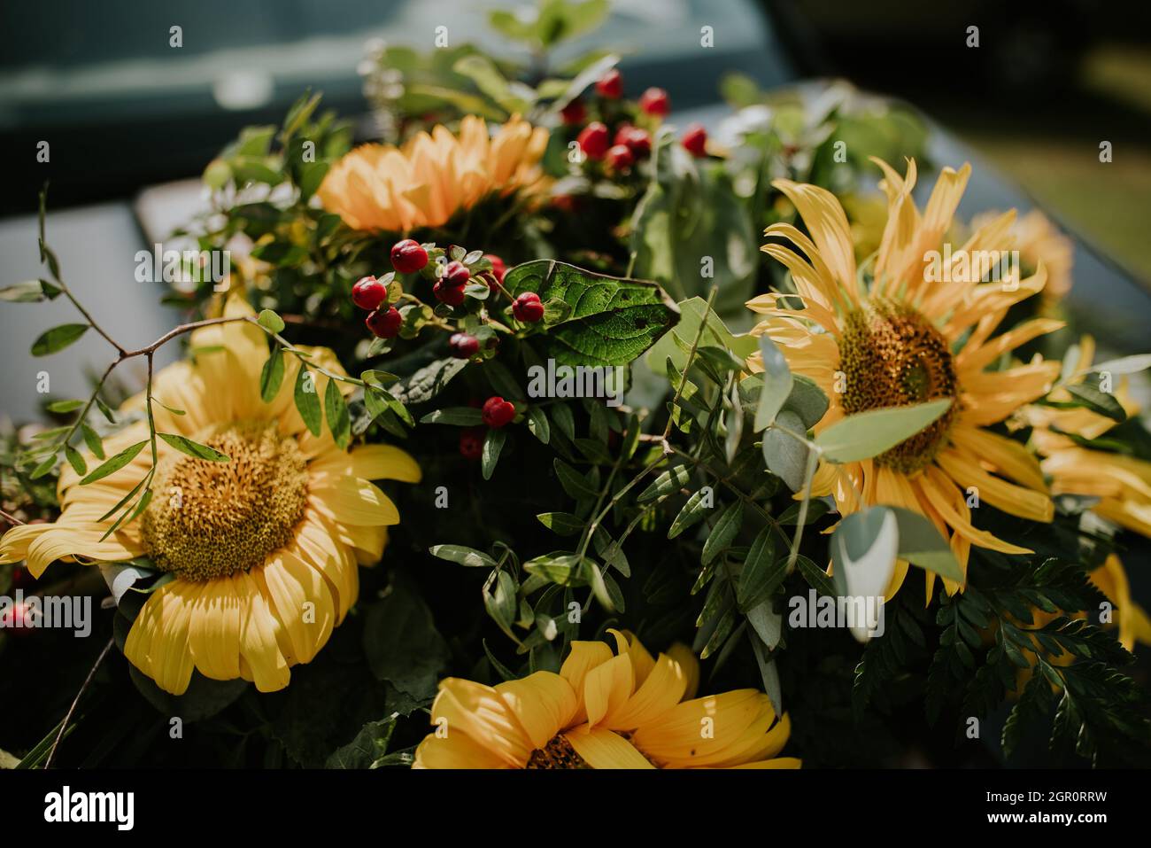 Ein Blumenstrauß aus Sonnenblumen auf ein weißes Auto Stockfotografie -  Alamy