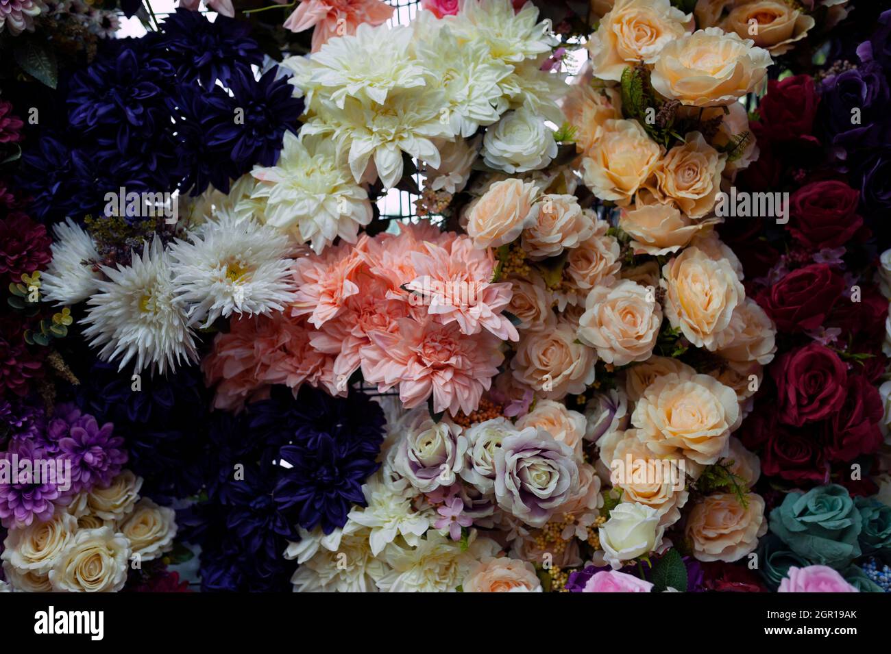 Bunt gefütterte Blumen Stockfoto