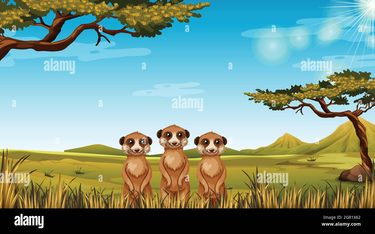 Erdmännchen in afrikanischer Landschaft Stock Vektor