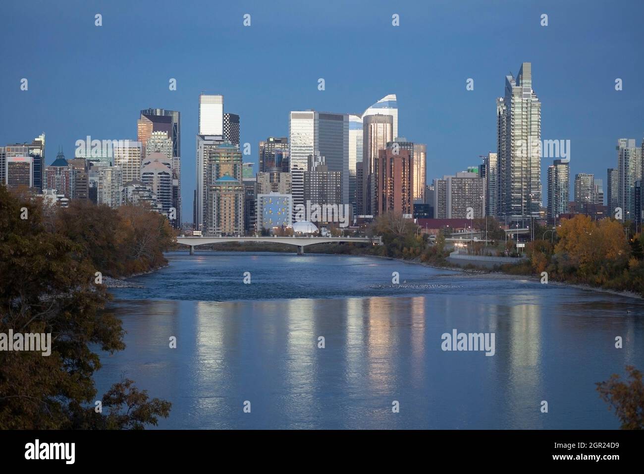 Skyline von Calgary mit Abendlicht, das von den Gebäuden in den Bow River reflektiert wird Stockfoto