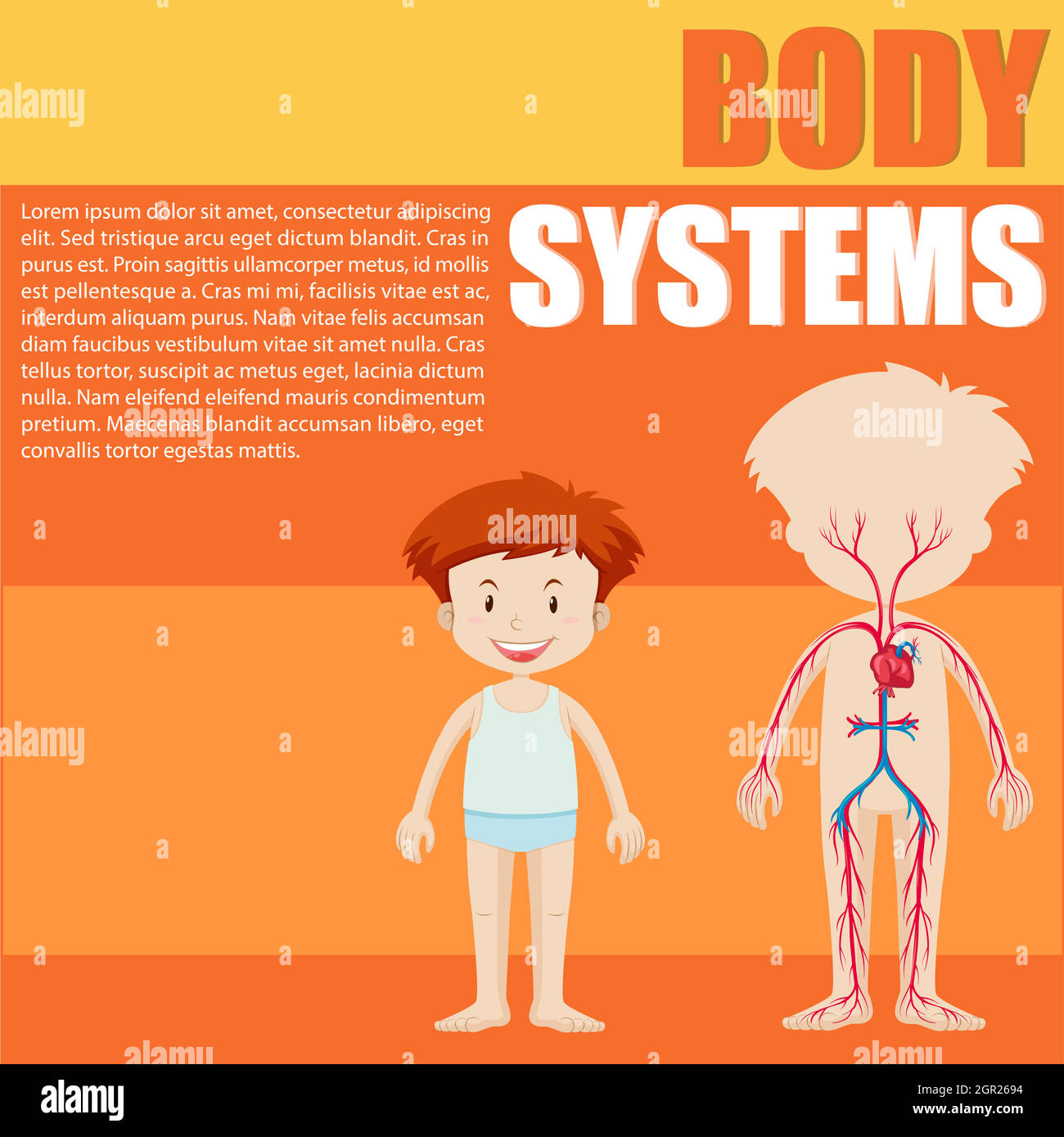 Systemdiagramm für Jungen und Körper Stock Vektor
