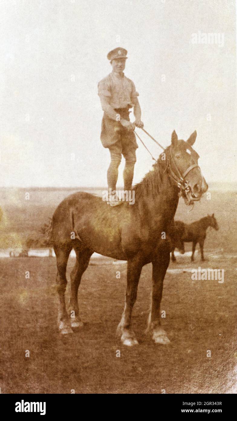 Ein britischer Soldat aus der Zeit des Ersten Weltkriegs in Shorts, der auf einem Pferd ohne Sattel steht. Stockfoto