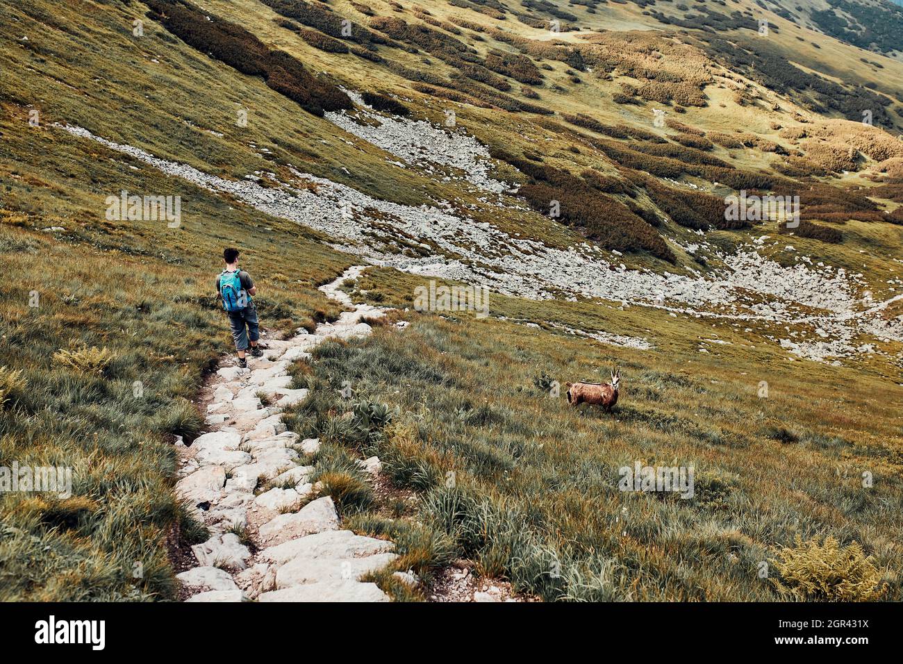Junger Mann mit Rucksack Wandern in Den Bergen, aktiv Sommerurlaub verbringen Stockfoto