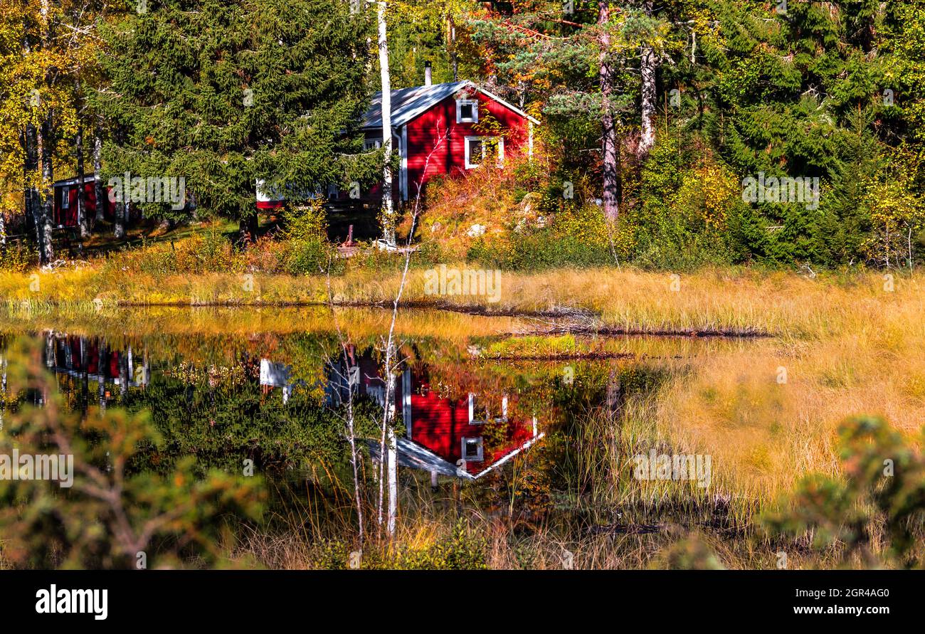 Kleine rote Hütte im Wald, die sich an einem Sommertag in Schweden im See spiegelt Stockfoto