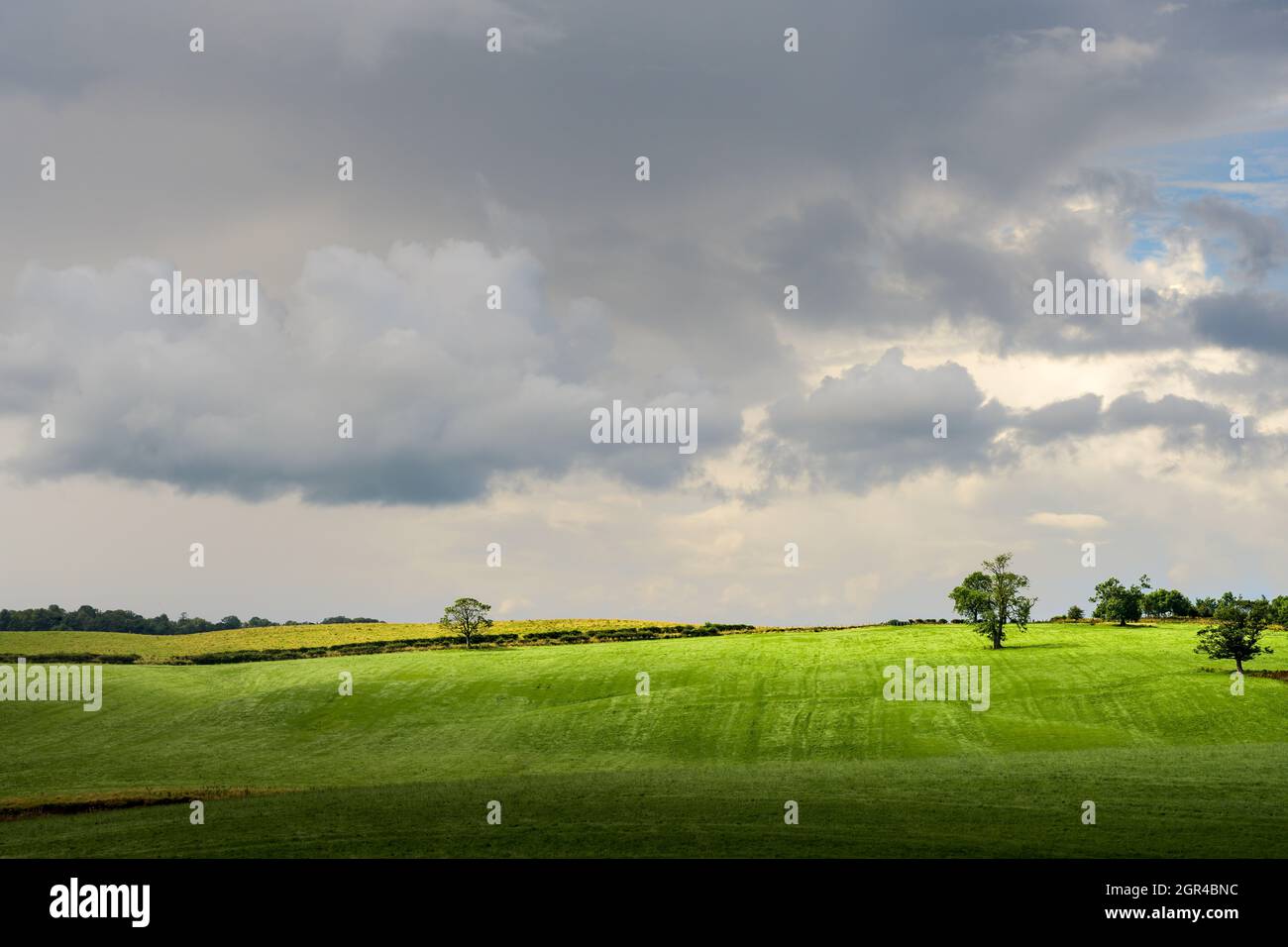 Ein grünes Feld mit Wolken darüber in Schottland Stockfoto