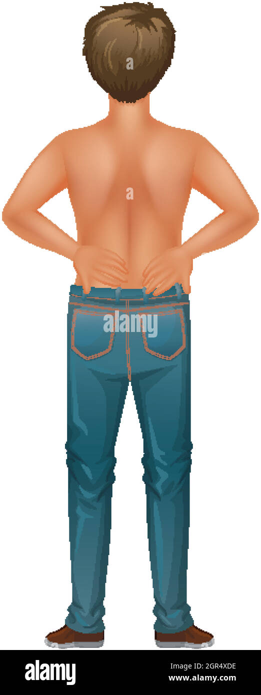 anatomy-man-standing-illustration-stock-vektorgrafiken-kaufen-alamy