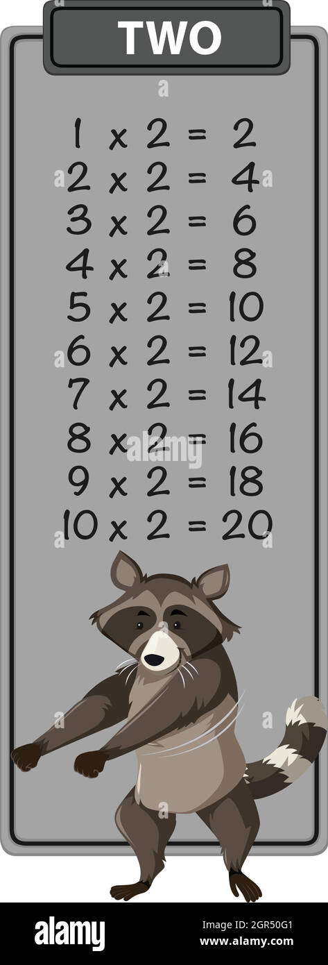 Waschbär auf der Tabelle der mathematischen Zeiten Stock Vektor