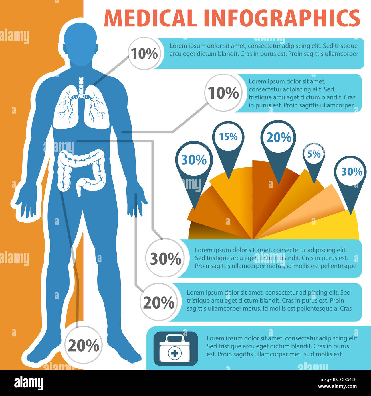Medizinische Infografik mit menschlicher Anatomie Stock Vektor