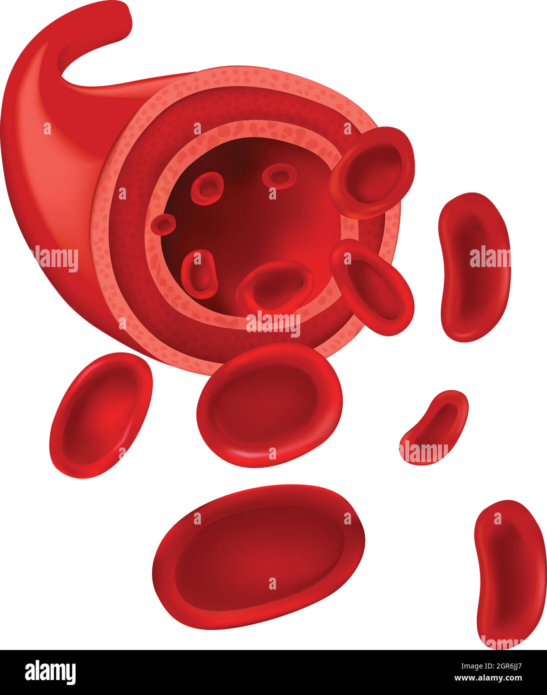 Rote Blutkörperchen Stock Vektor