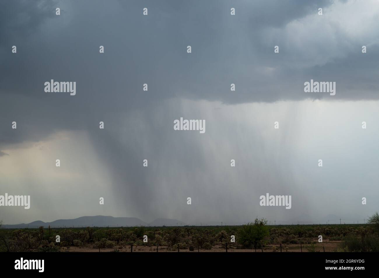 Monsunregen Regenguss in Arizona Stockfoto