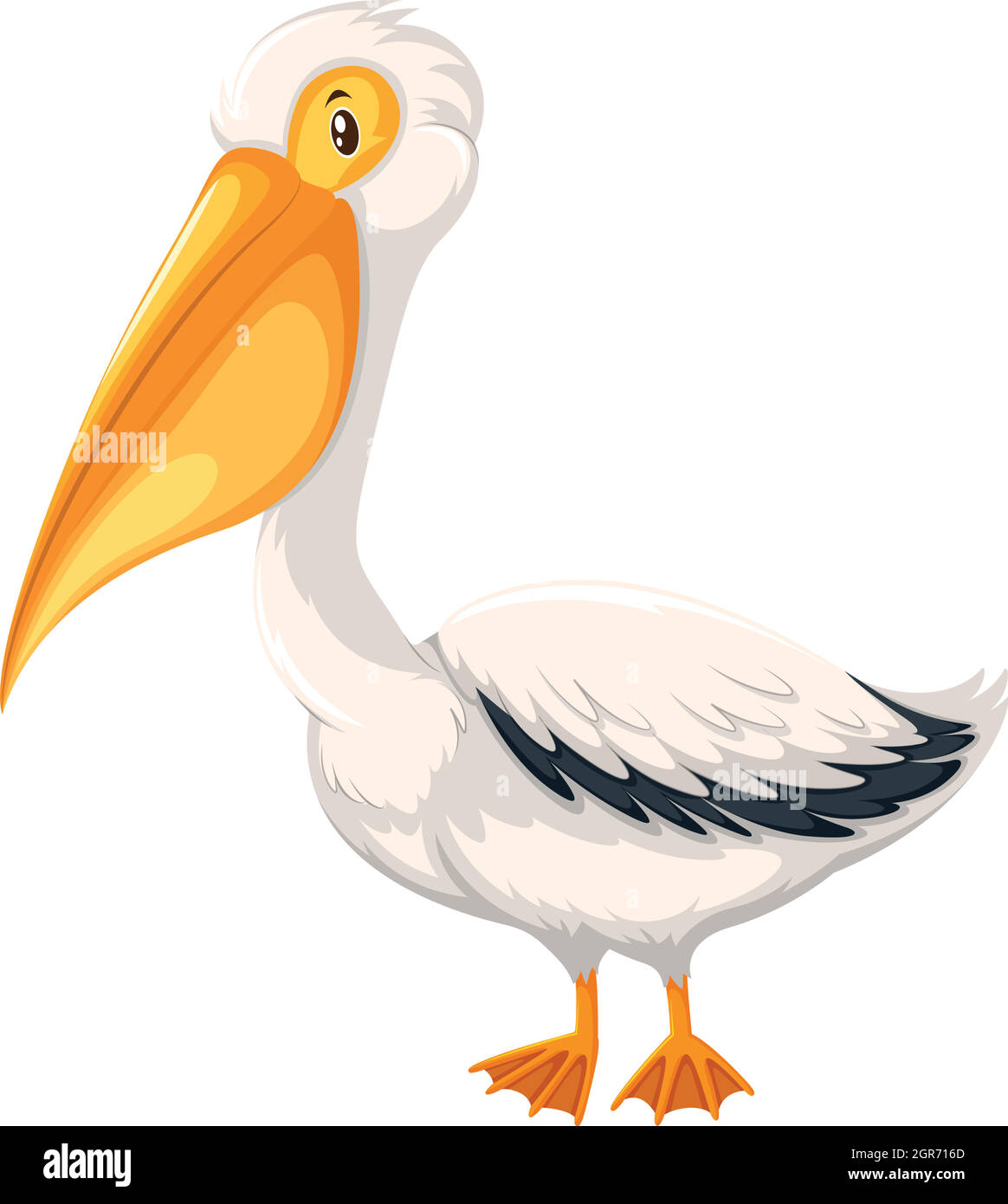 Ein Pelikan auf weißem Hintergrund Stock Vektor