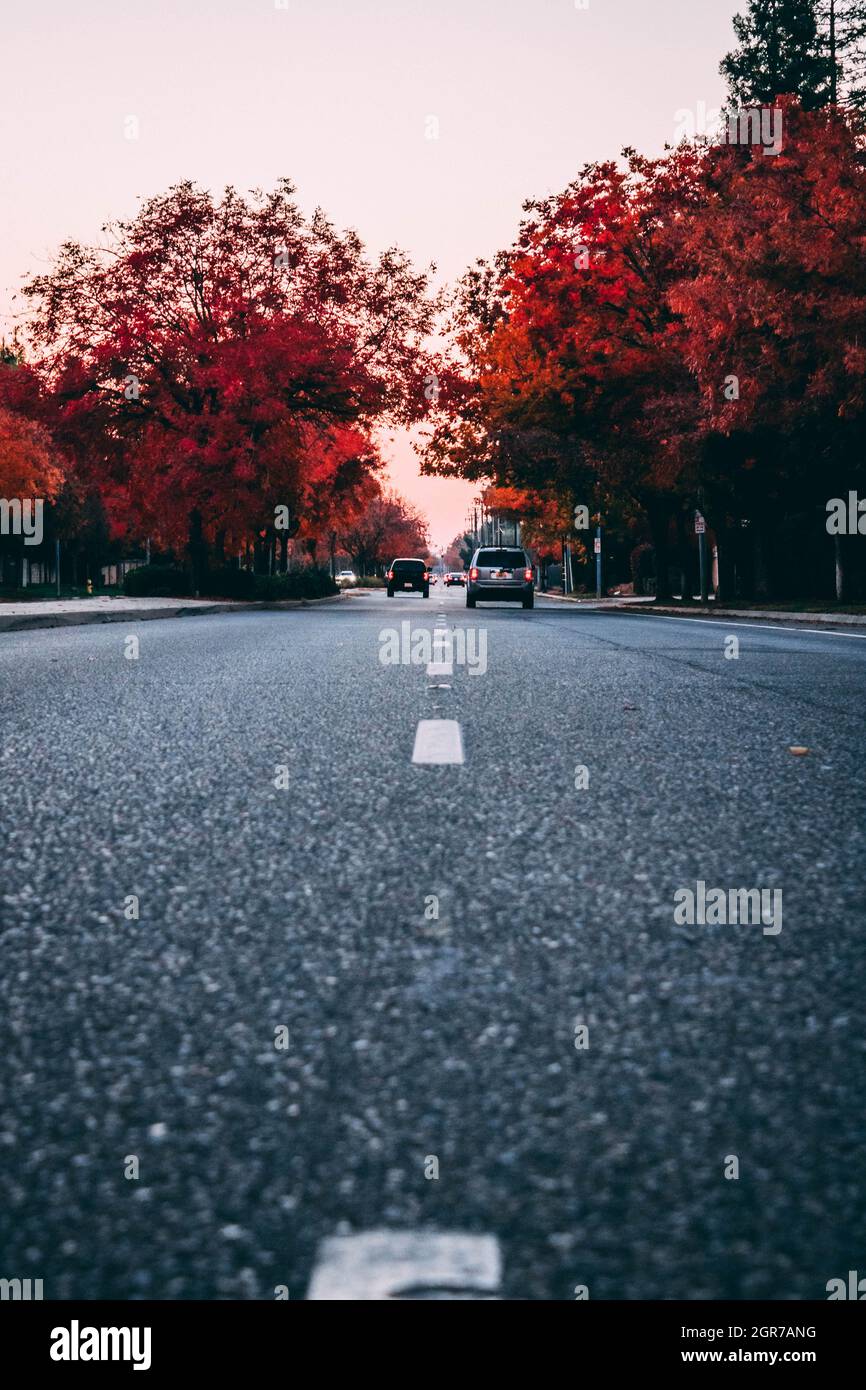 Der Weg vor uns sieht immer hell aus! Stockfoto