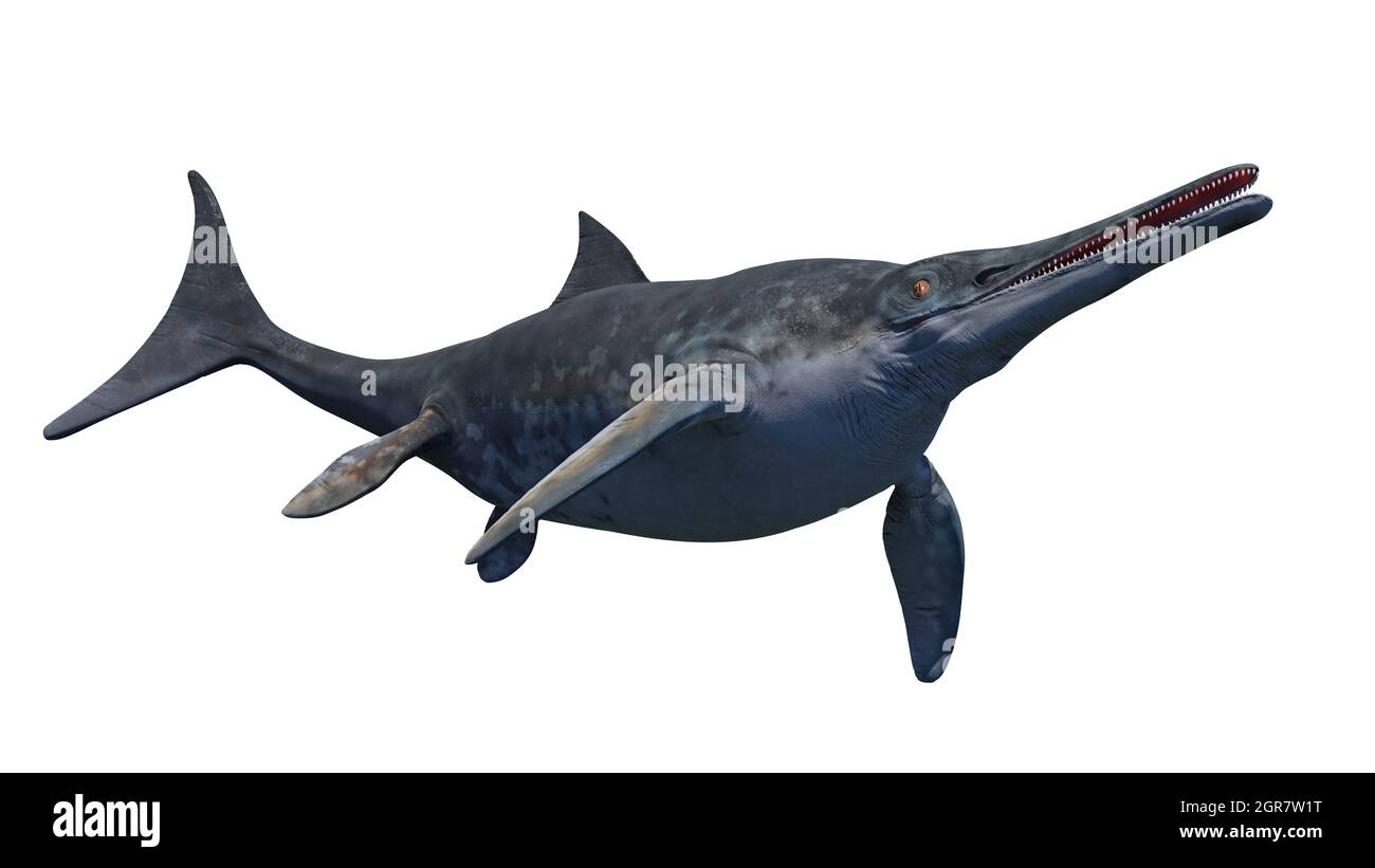 Ichthyosaur, ausgestorbenes marines Reptil von der frühen Trias bis zur späten Kreidezeit, isoliert auf weißem Hintergrund, 3d-Paläoart-Darstellung Stockfoto
