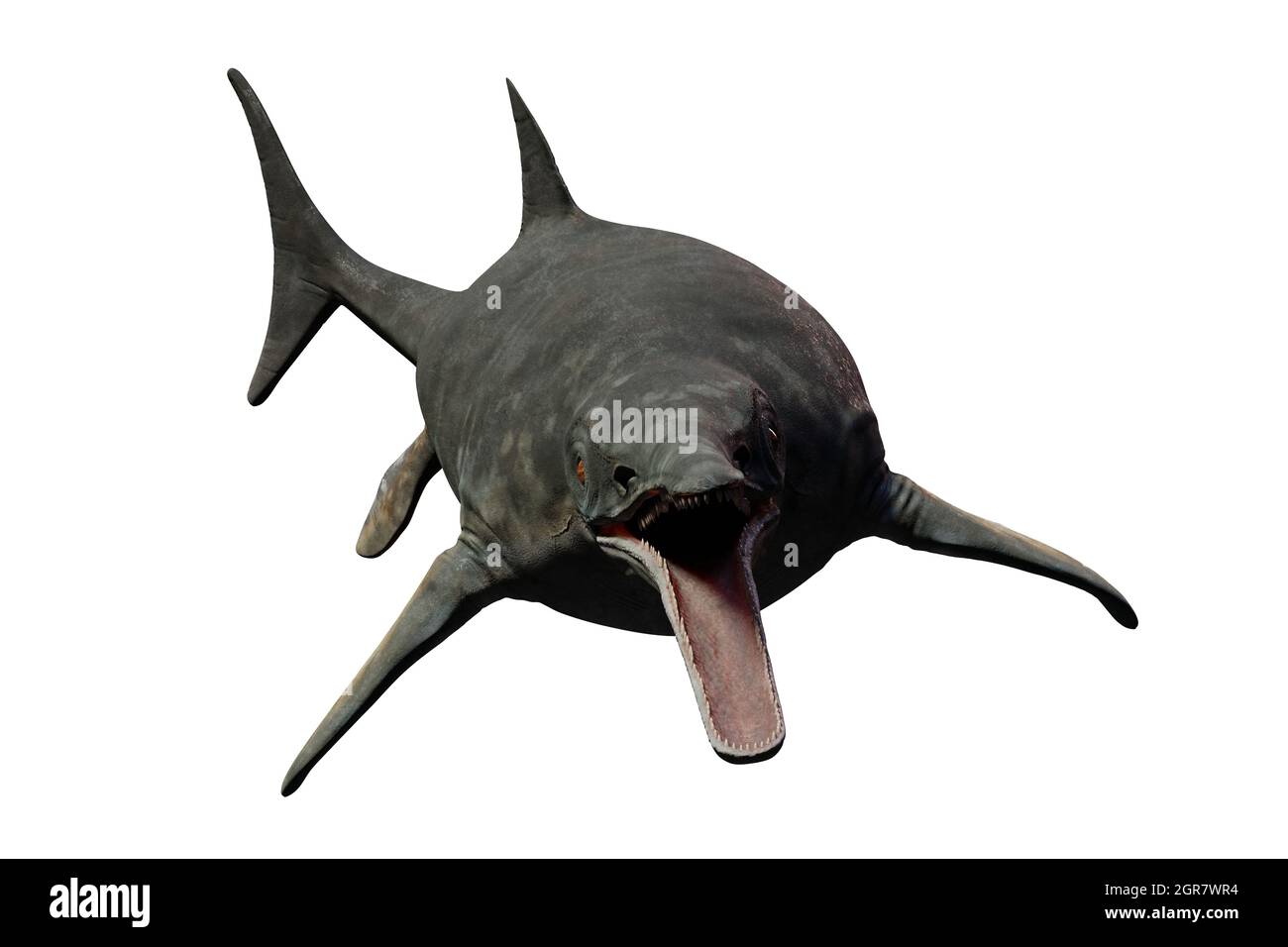 Ichthyosaur, ausgestorbenes marines Reptil von der frühen Trias bis zur späten Kreidezeit, isoliert auf weißem Hintergrund, 3d-Wissenschaftsrendering Stockfoto