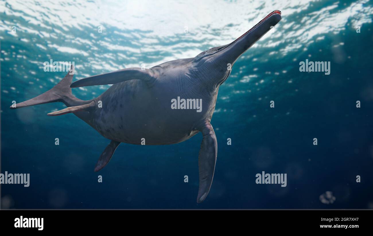 Ichthyosaur, Stenopterygius quadriscissus schwimmen im Ozean, ausgestorbenes marines Reptil von der frühen Trias- bis zur späten Kreidezeit, 3d-Darstellung der Wissenschaft Stockfoto