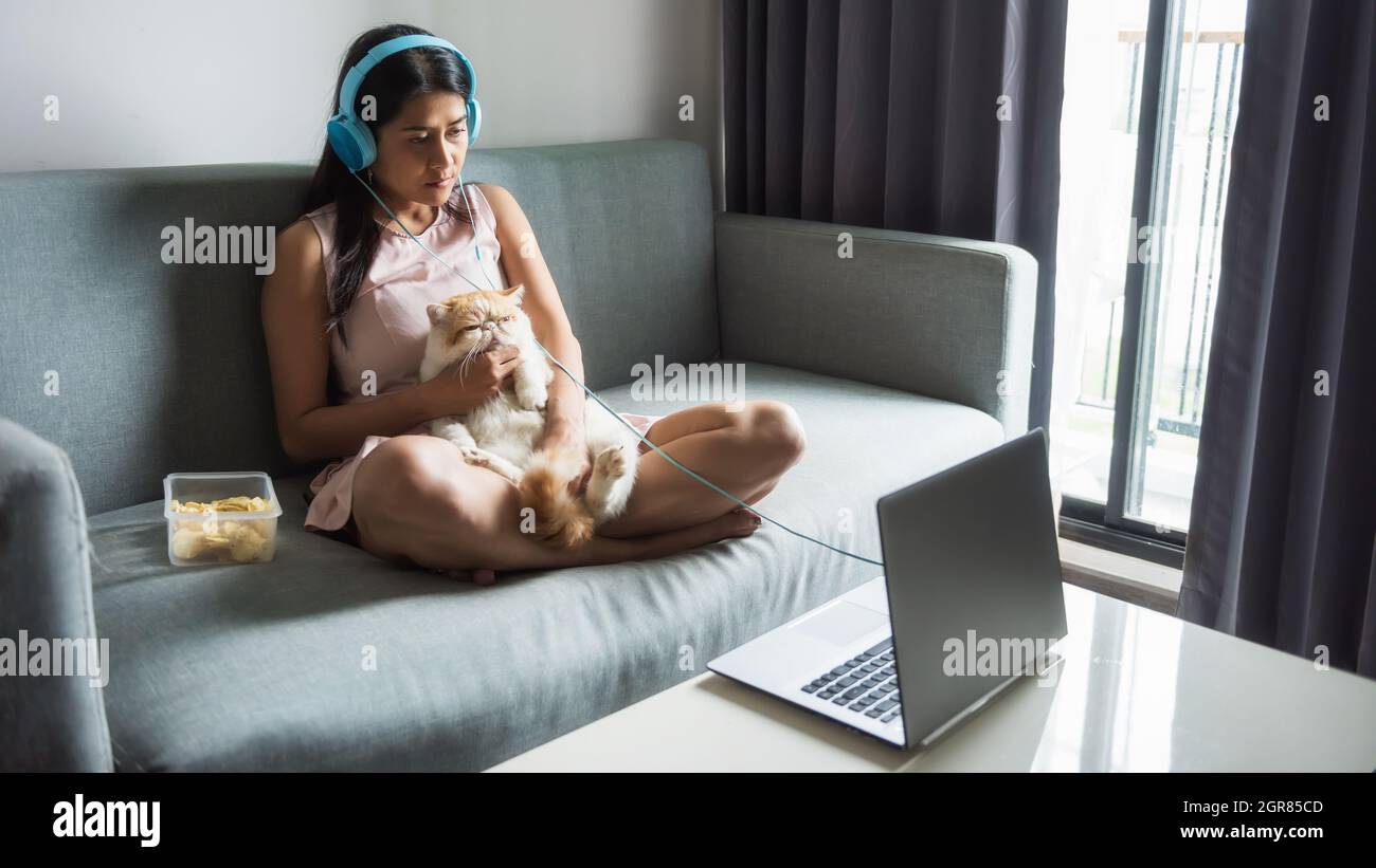 Asiatische Junge Frau Beobachten Filme Auf Sofa Auf Laptop Mit Ihrer Gelben Exotischen Kurzhaar-Katze Auf Sofa. Stockfoto