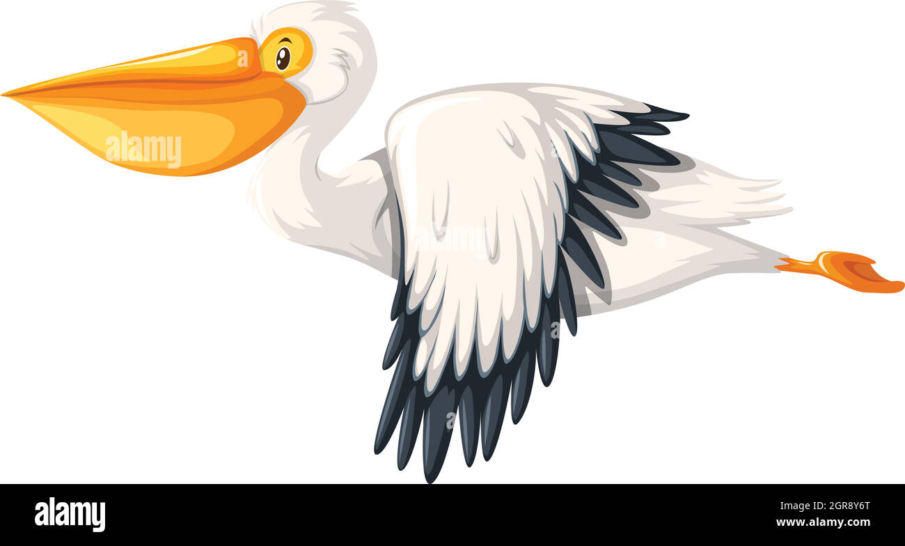 Pelikan fliegender weißer Hintergrund Stock Vektor
