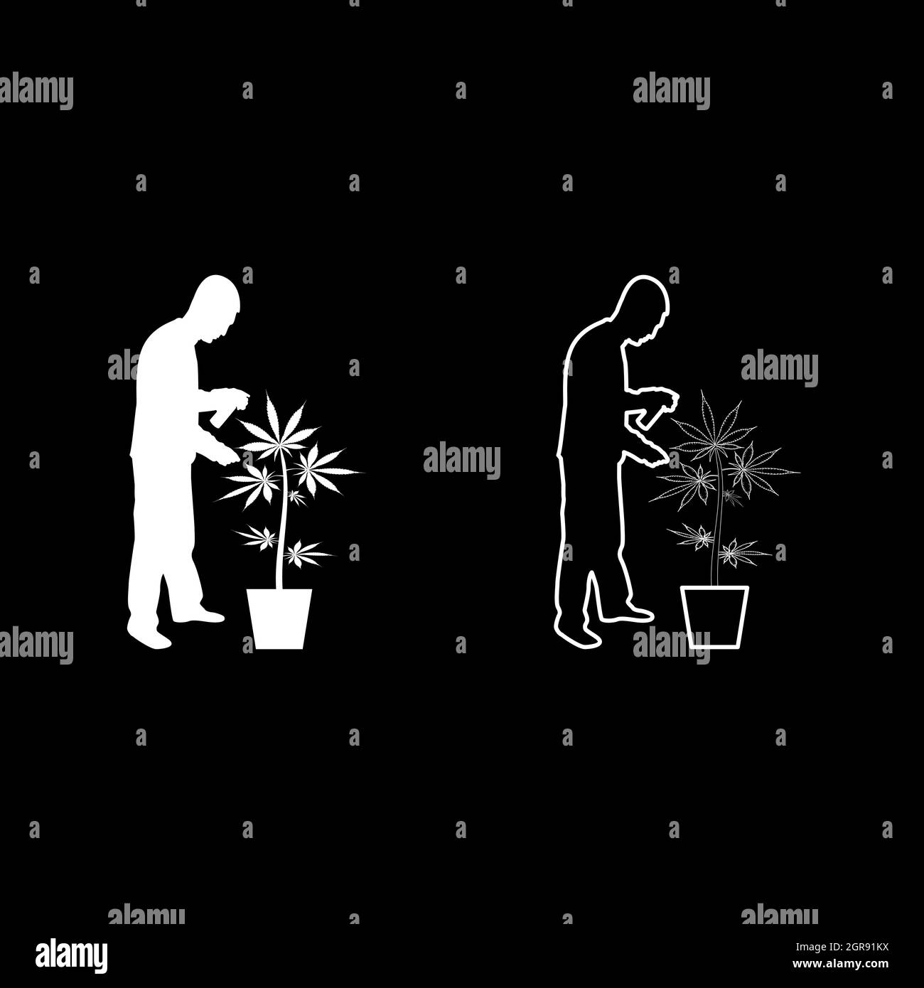 Mann, der für Marihuana-Pflanze im Topfwasser sprüht, mit Handregner wässern Gartenernte Konzept zu Hause Silhouette weiße Farbe Vektor Illustration solide Umriss Stil Bild Stock Vektor