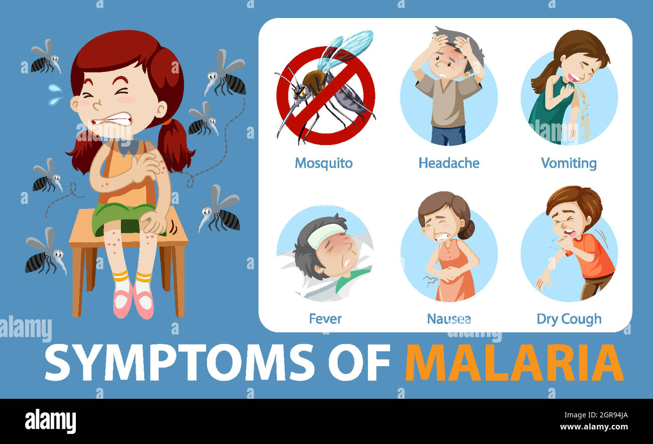 Symptome der Malaria Cartoon-Stil Infografik Stock Vektor