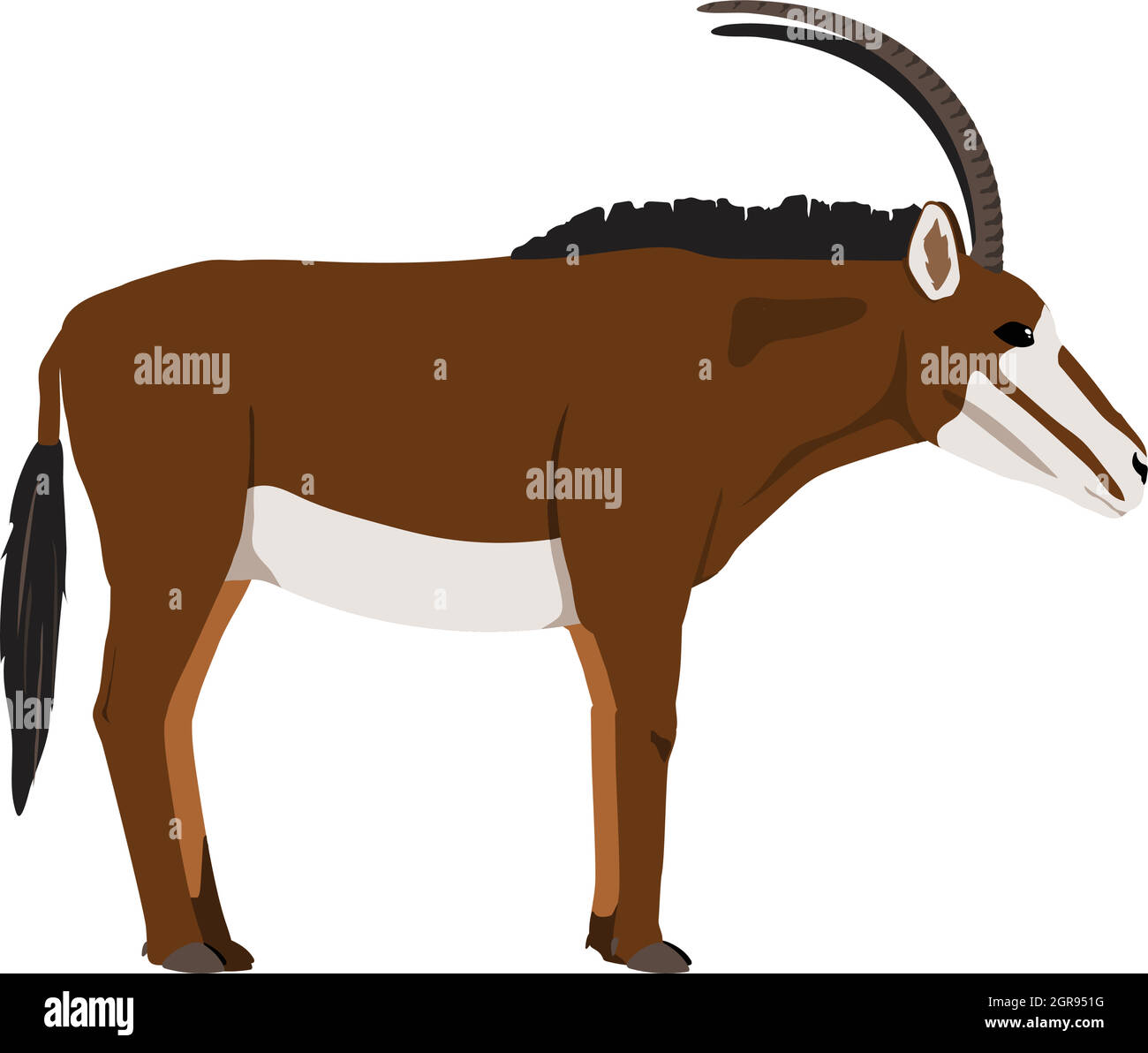 Hippotragus niger - Sable Antilope - Weiblich - Seitenansicht - Flachvektor isoliert Stock Vektor
