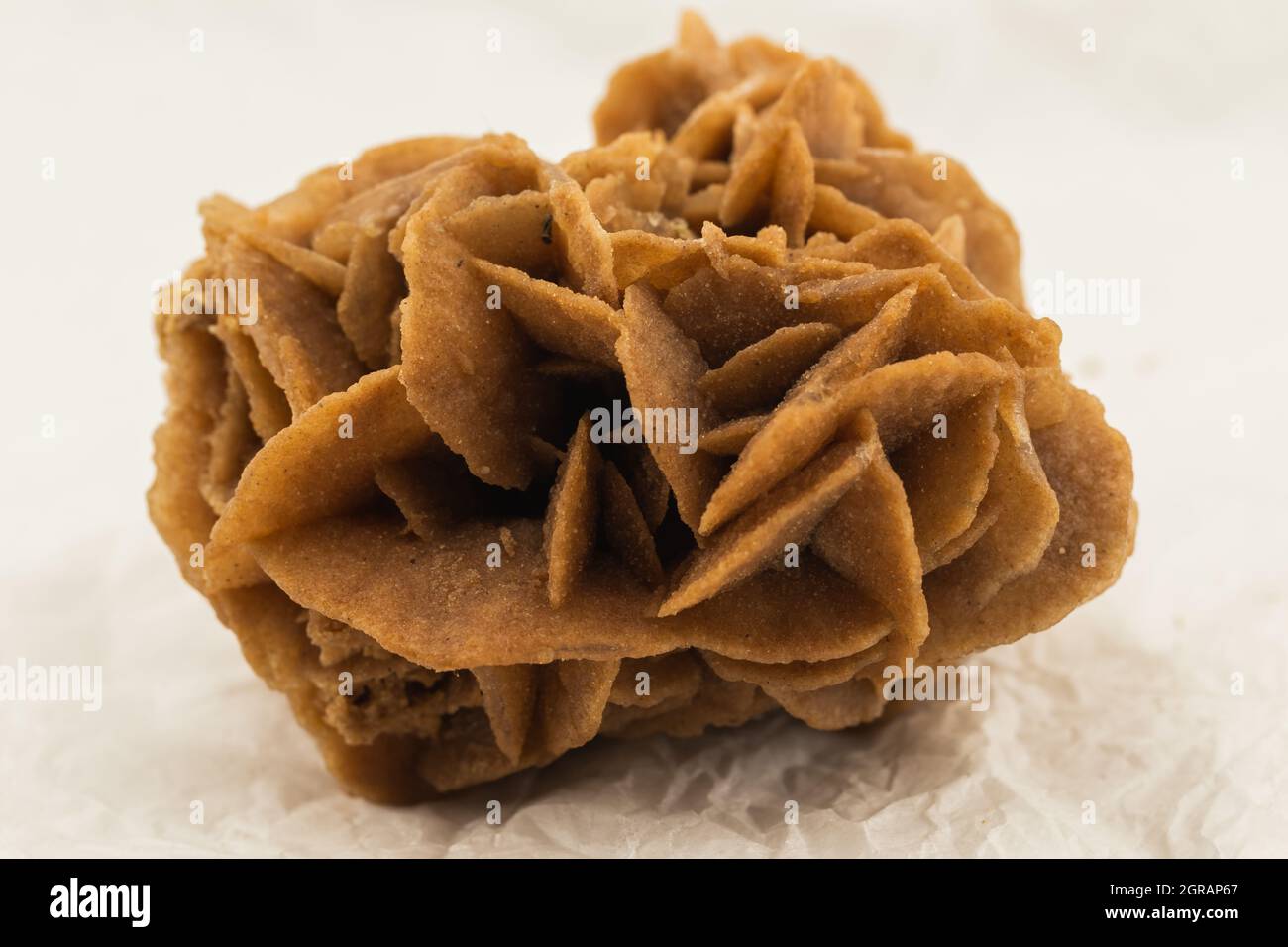 Detail einer Wüstenrose, mineralisches Exemplar Stockfoto