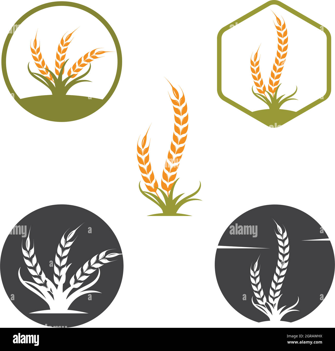 Landwirtschaft Weizen Vektor Symbol Illustration Design Stock Vektor