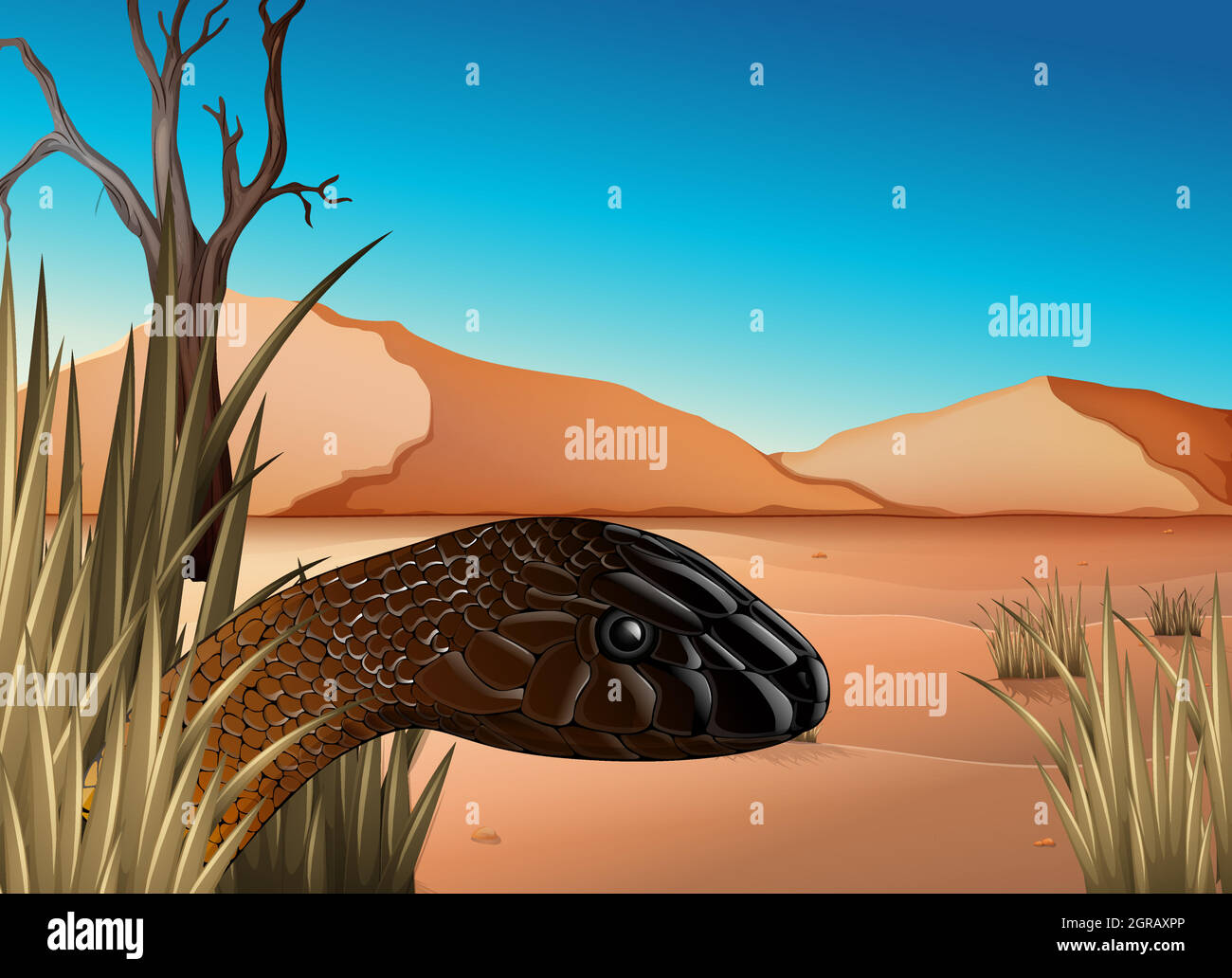 Ein Reptil in der Wüste Stock Vektor