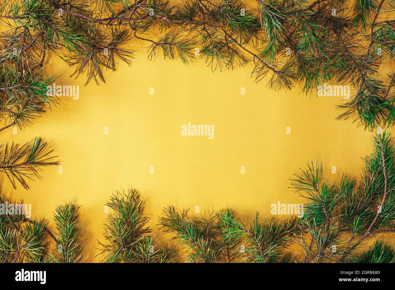 Vintage weihnachten Grußkarte. Gelber quadratischer Rahmen mit Tannenzweigen. Weihnachtsschmuck zum neuen Jahr Stockfoto