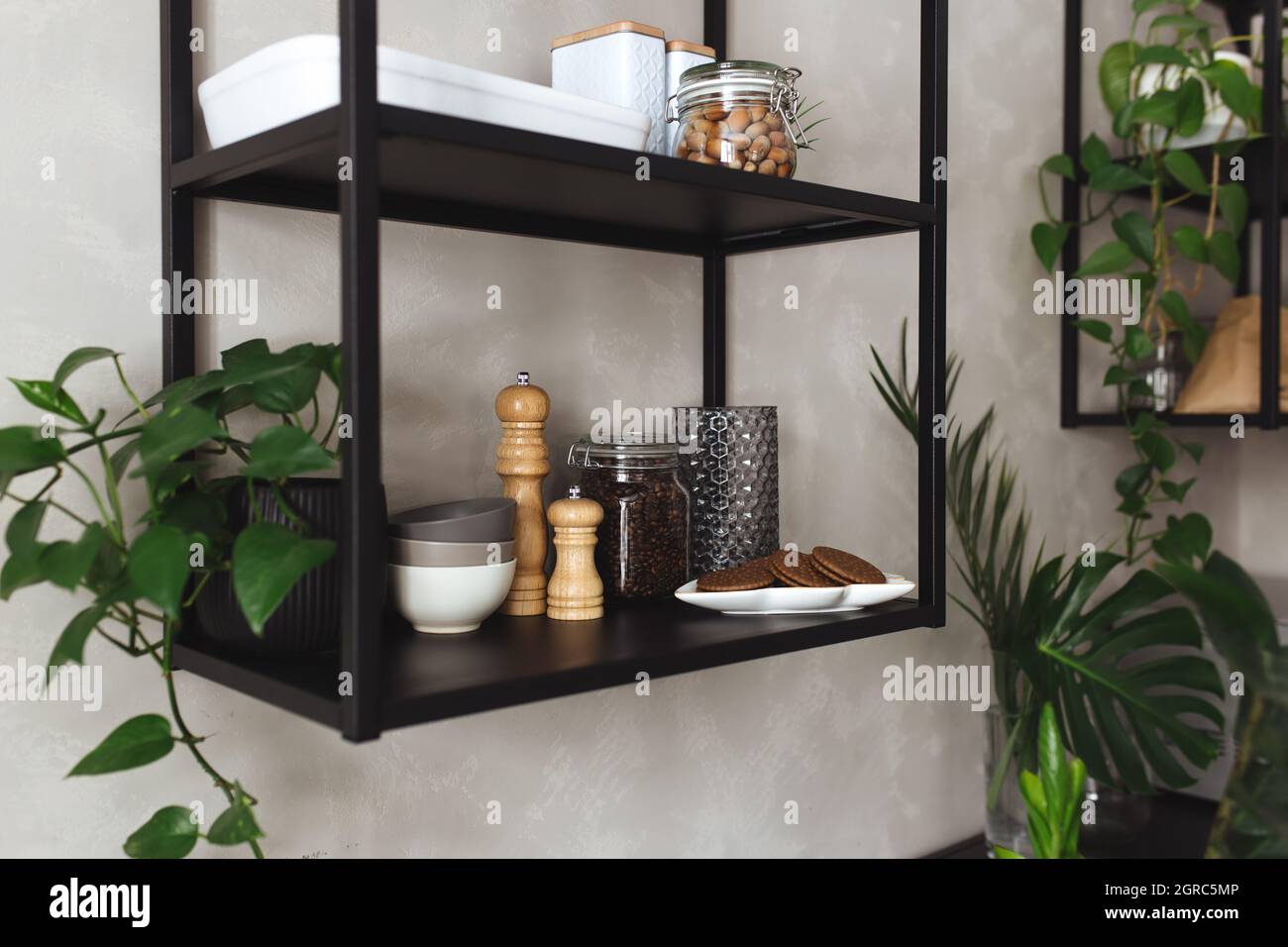 Schwarze Metallregale in der Küche auf Einer grauen Betonwand im Loft-Stil.  Grüne Blumentöpfe Stockfotografie - Alamy