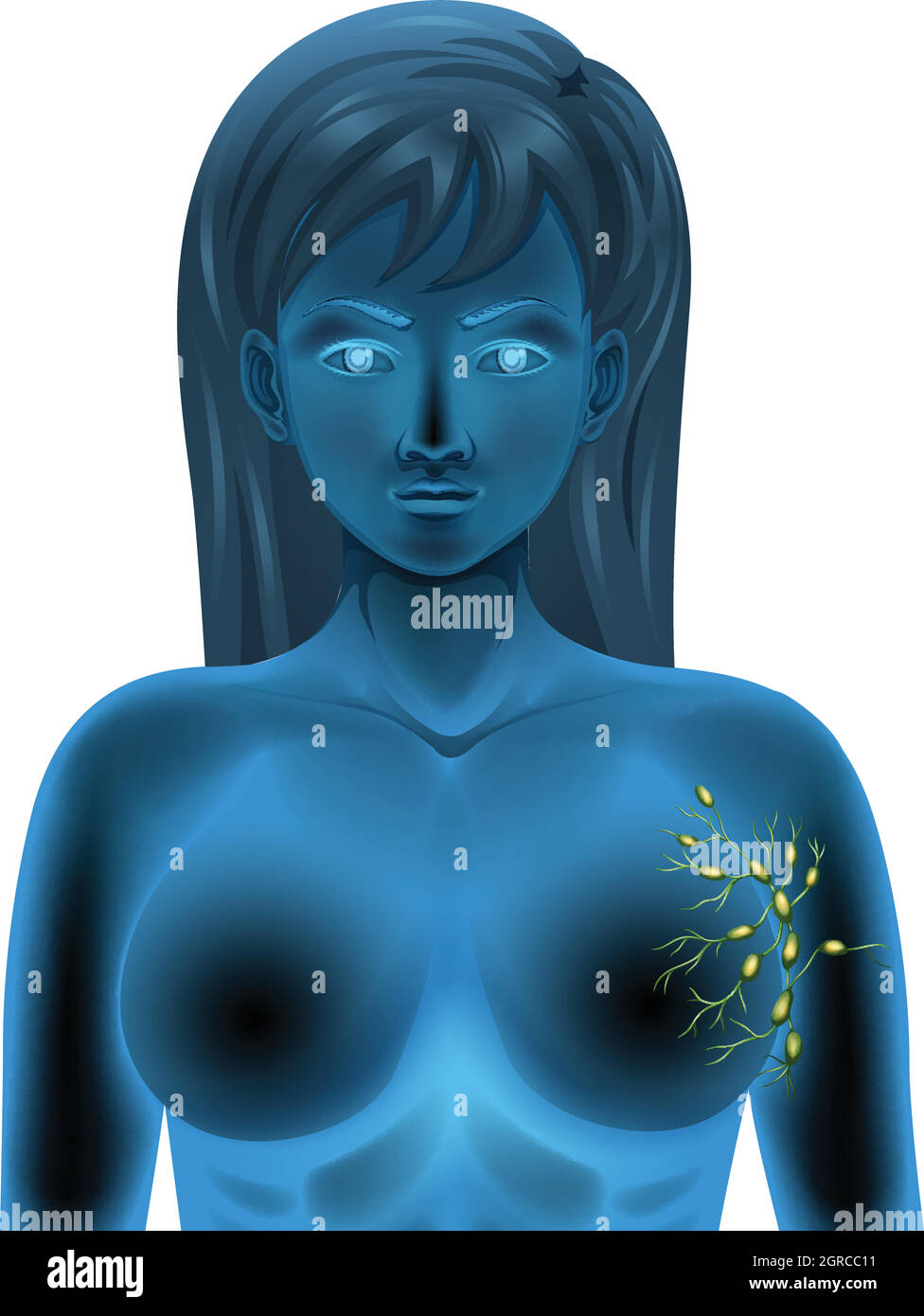 Lymphknoten des weiblichen Körpers Stock Vektor