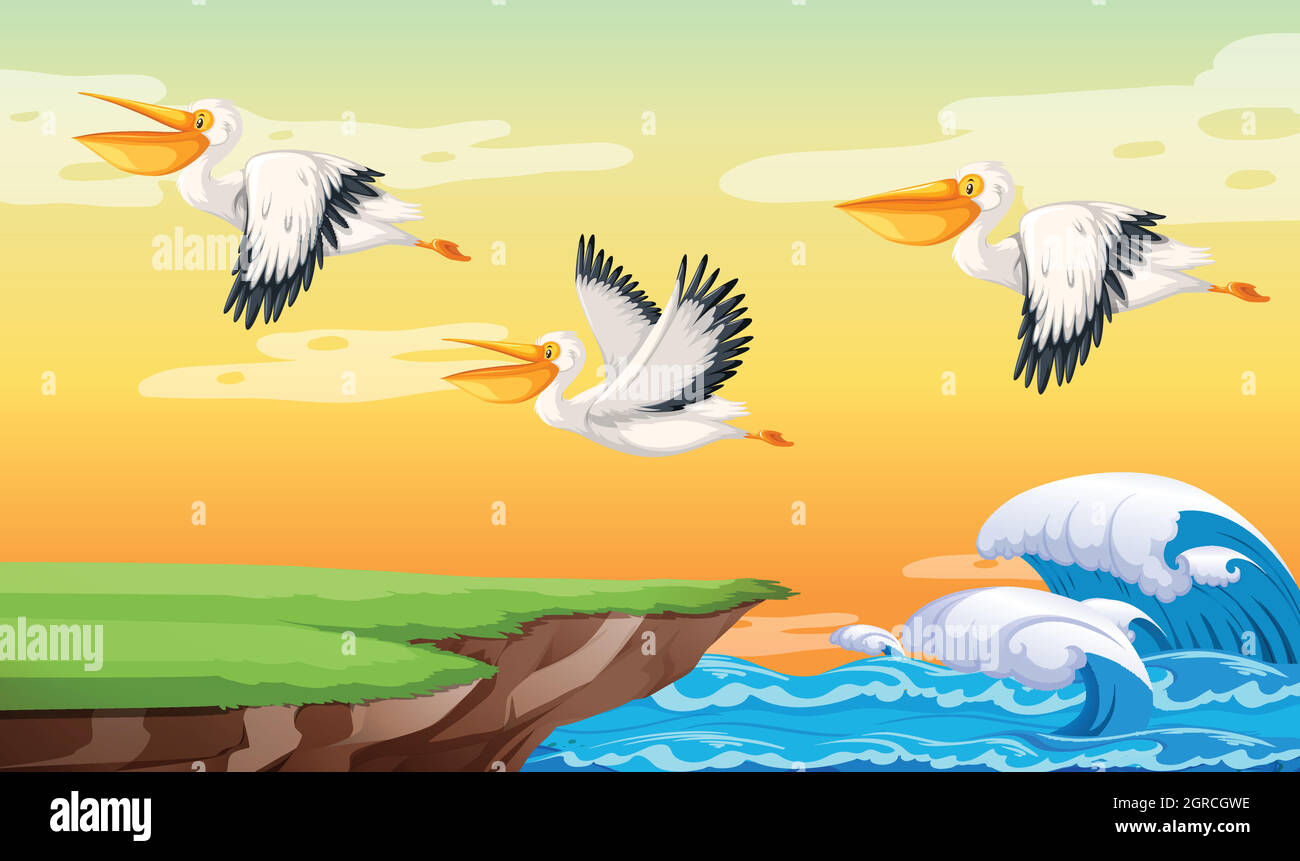 Pelikan fliegt am Himmel Stock Vektor