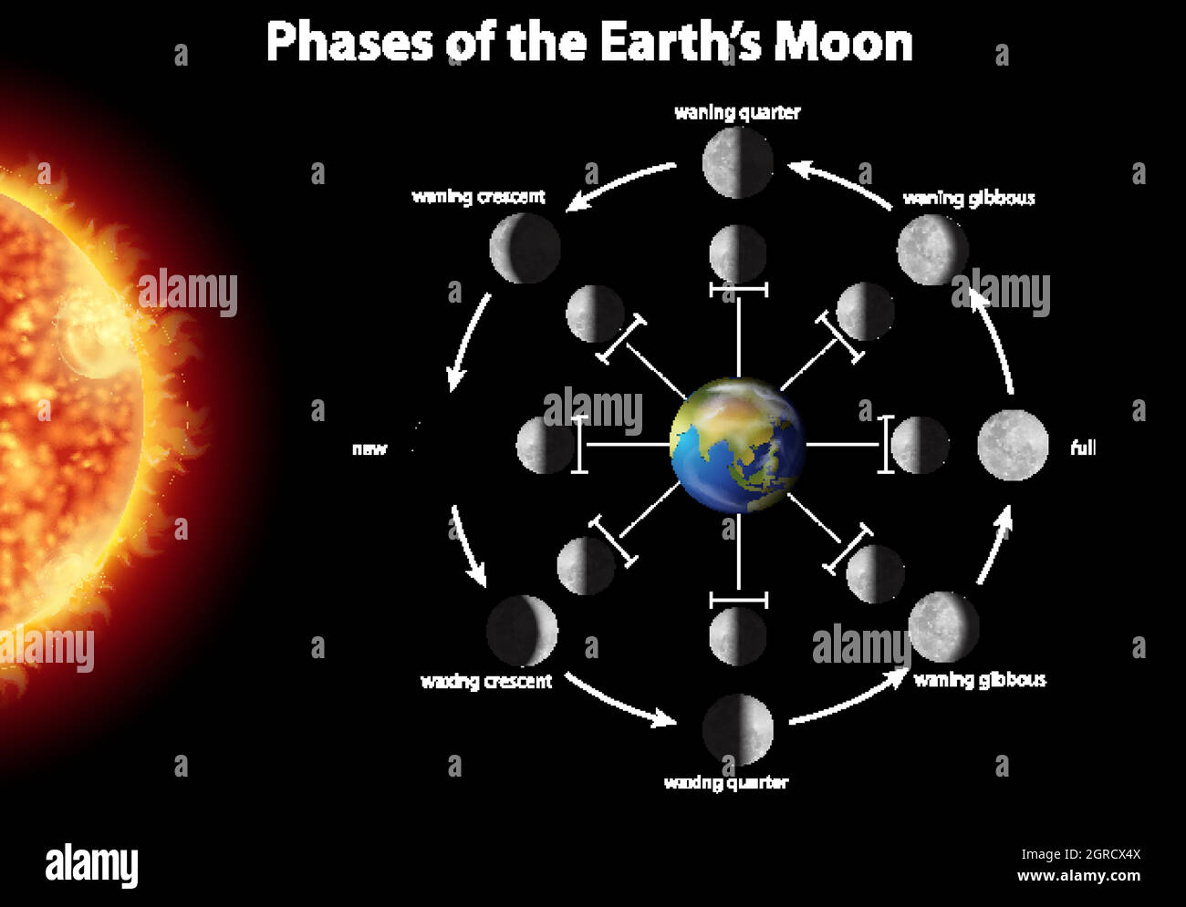 Diagramm mit den Phasen des Mondes auf der Erde Stock Vektor